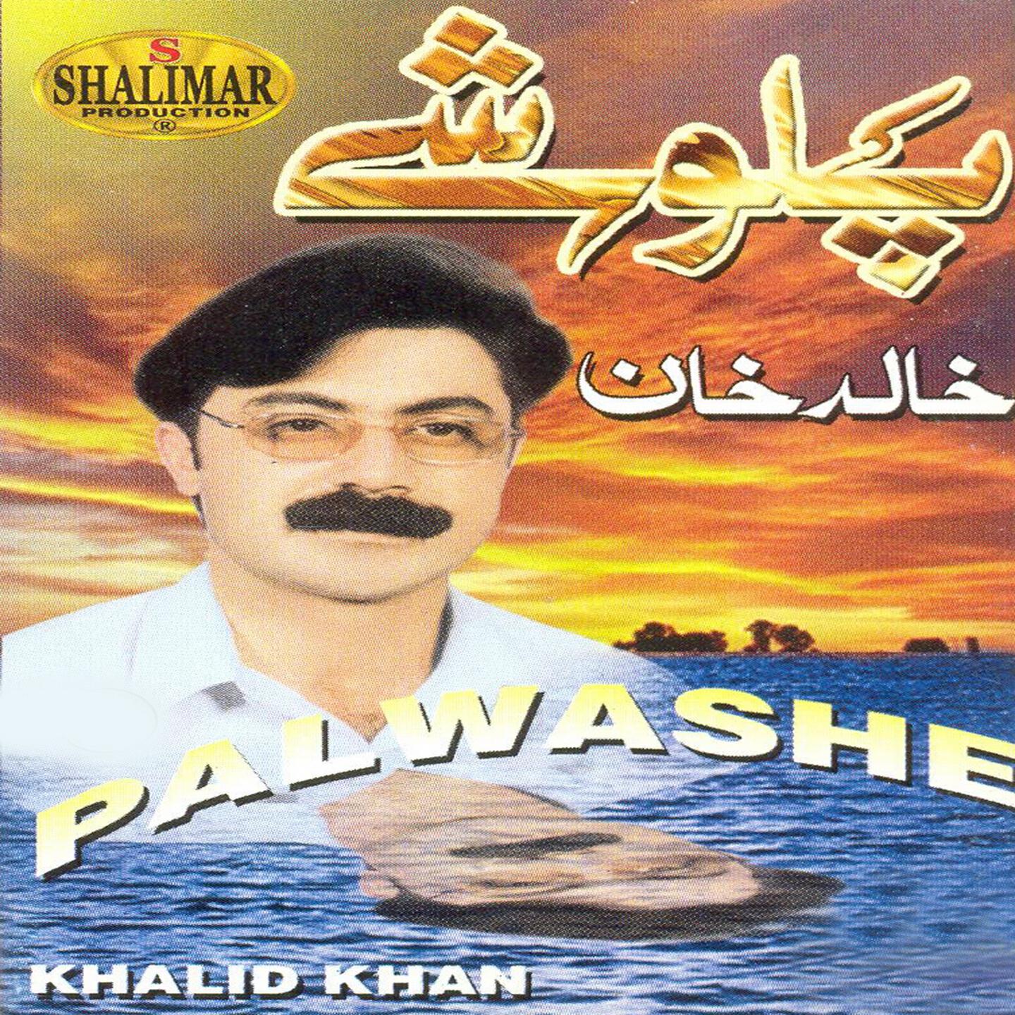 Релиз Palwashe