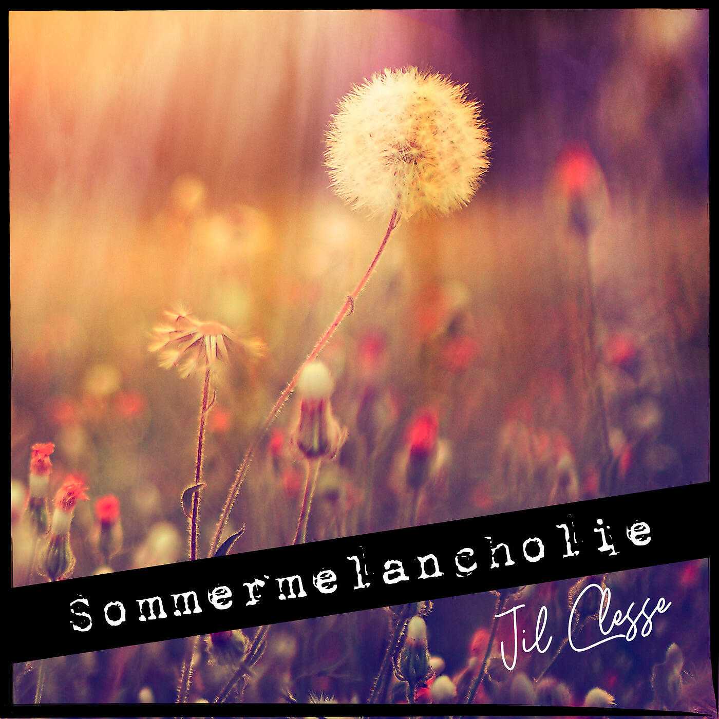Релиз Sommermelancholie