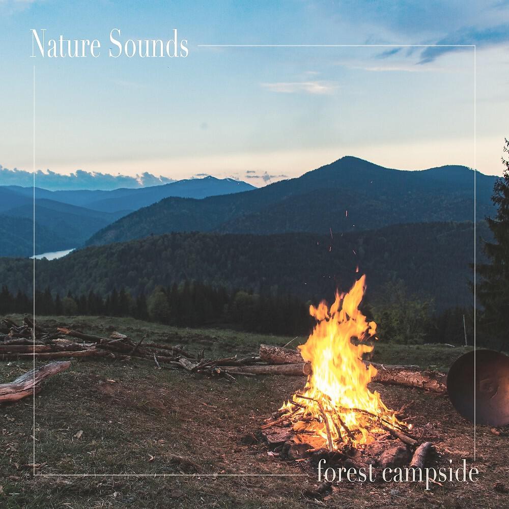 Постер альбома Forest Campside