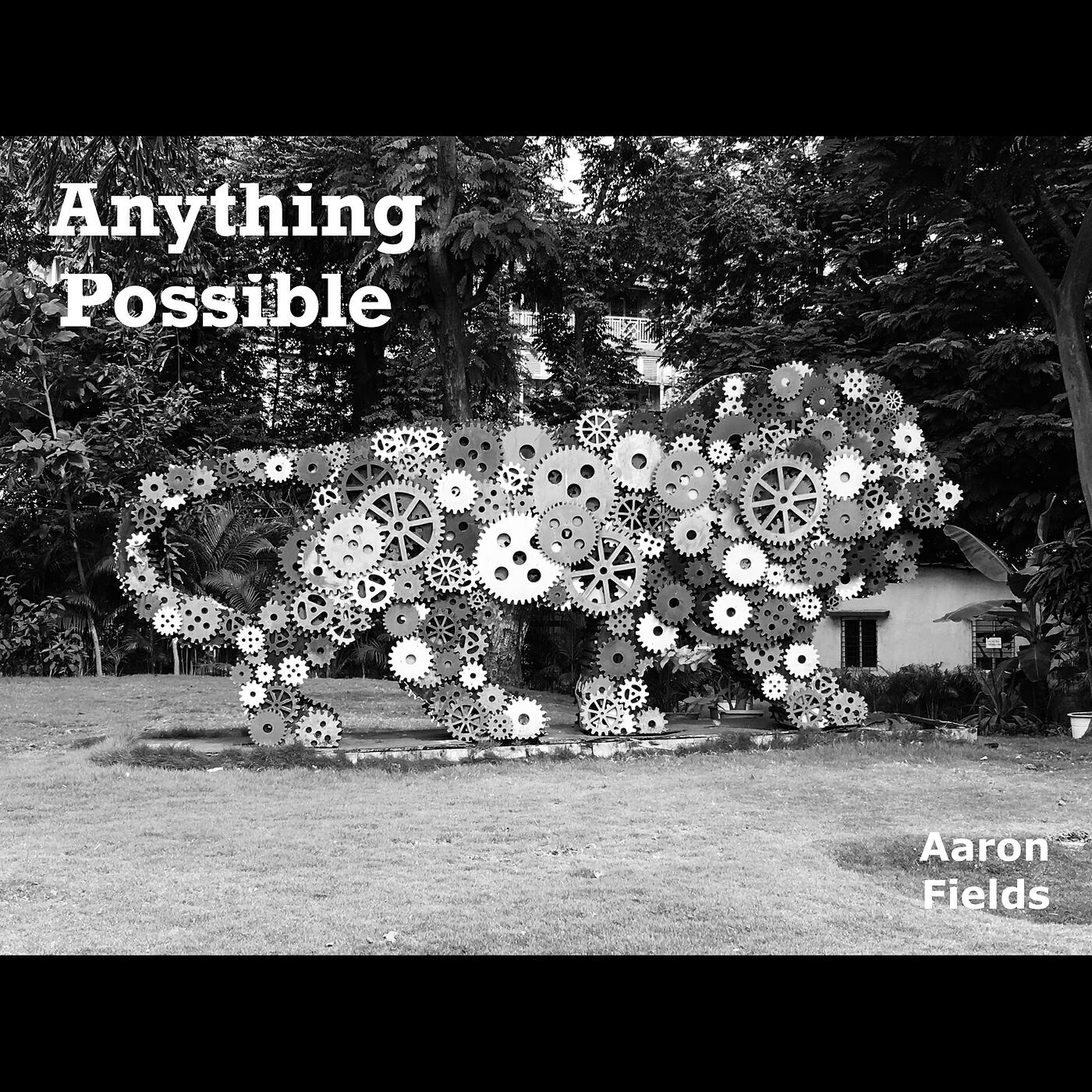 Релиз Anything Possible