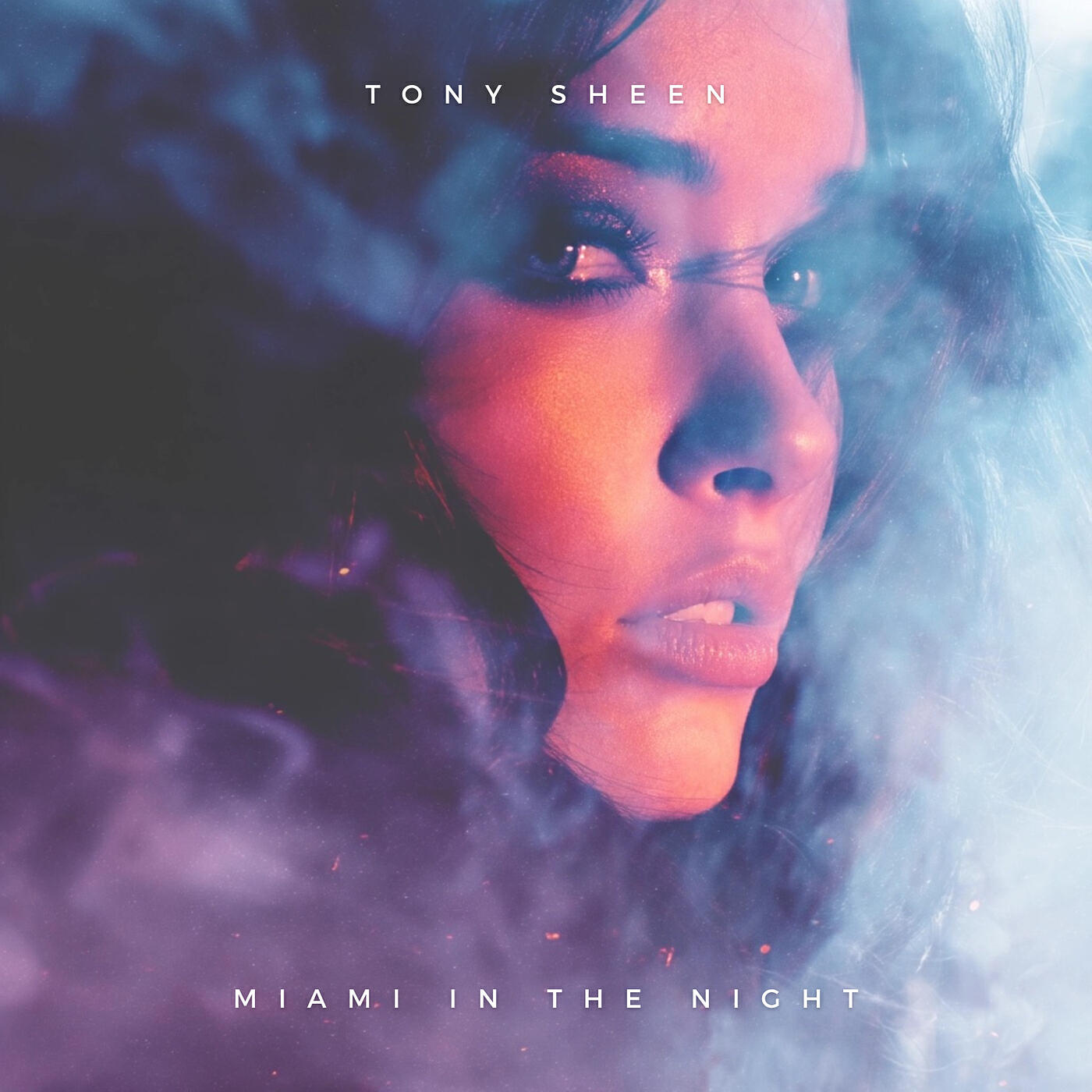 Релиз Miami in the Night