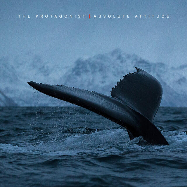 Релиз Absolute Attitude