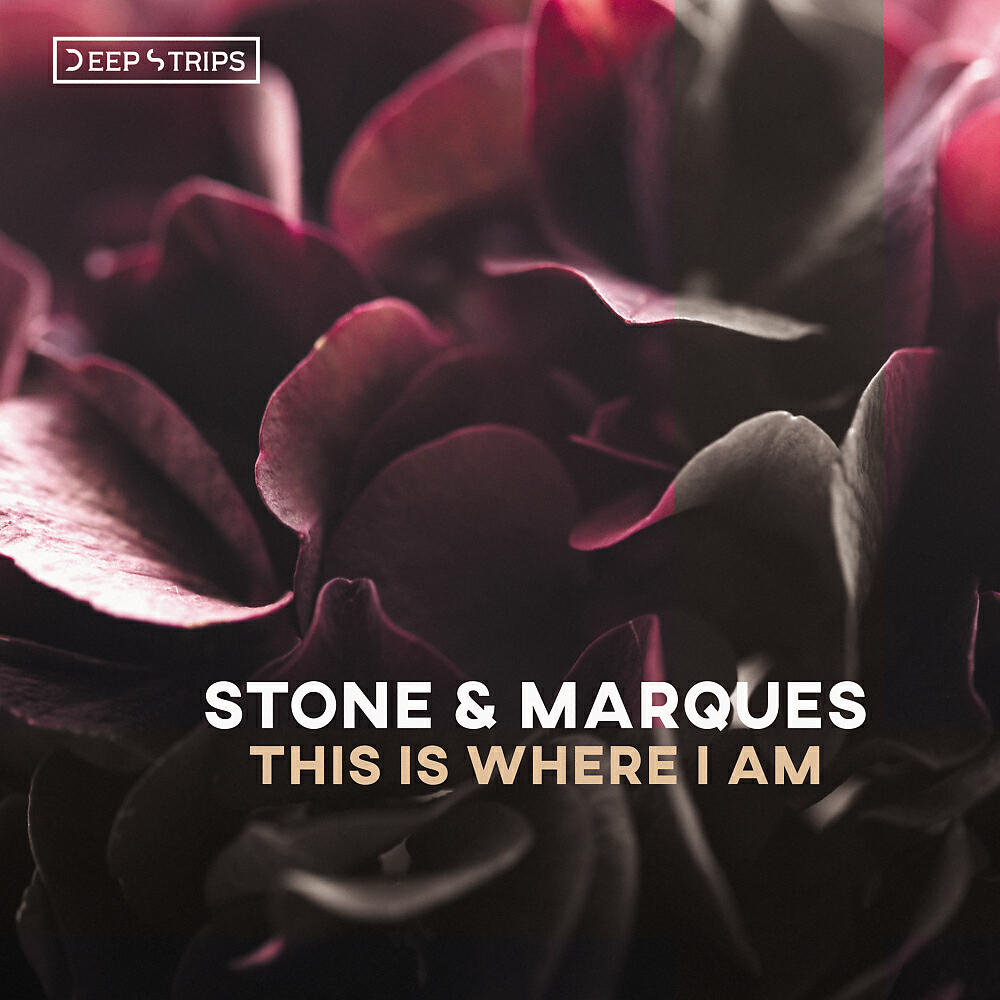 Релиз This Is Where I Am