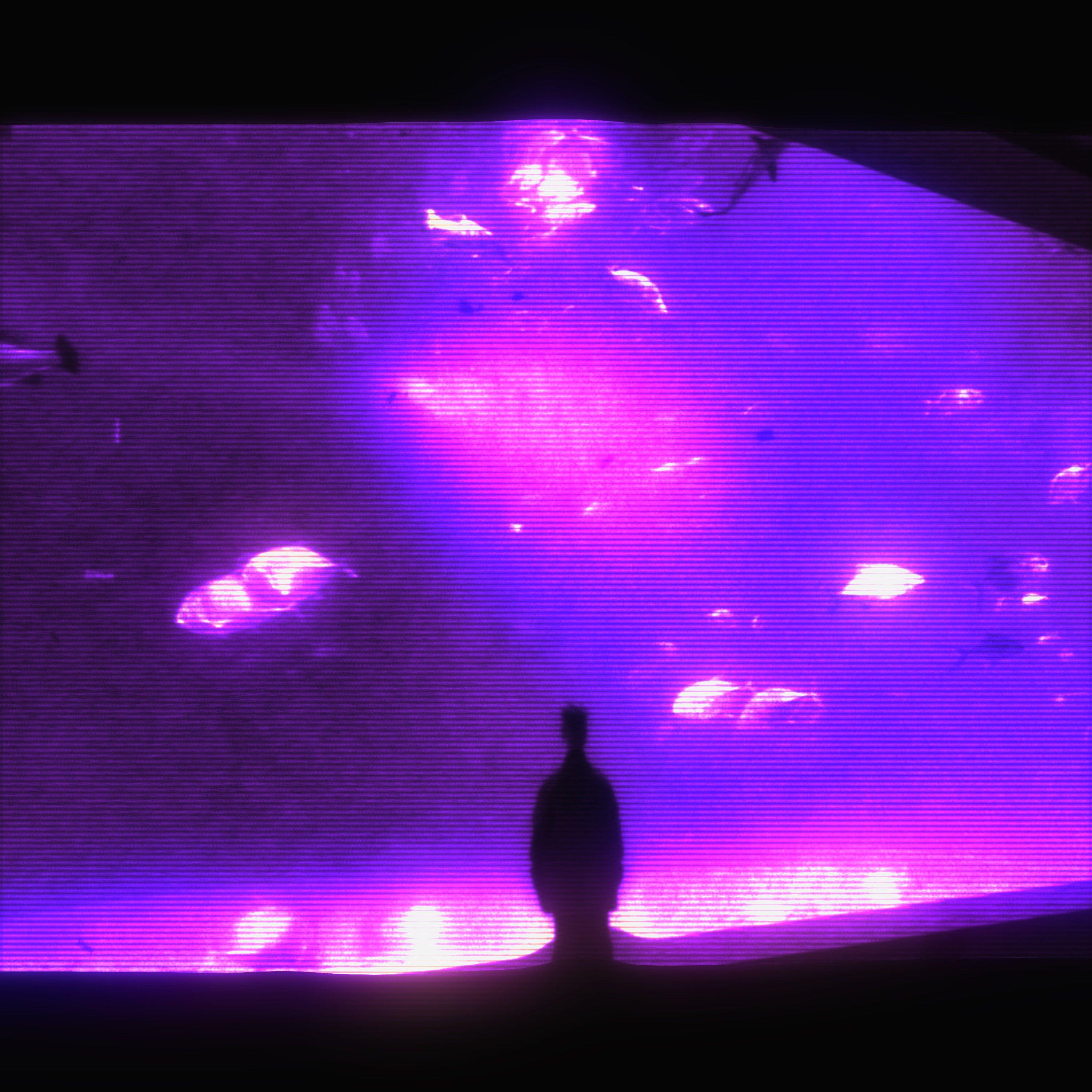 Релиз thálassa