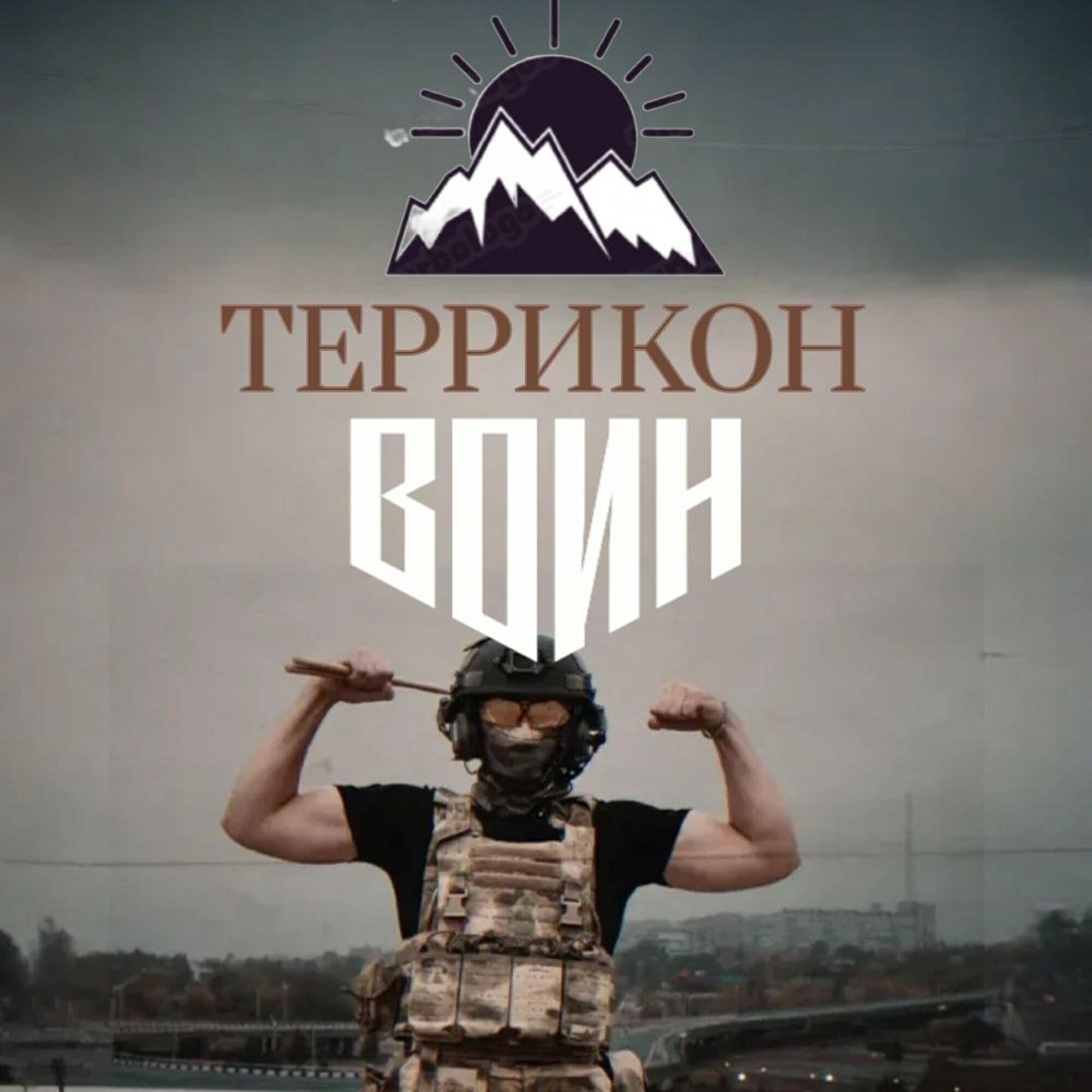 Террикон