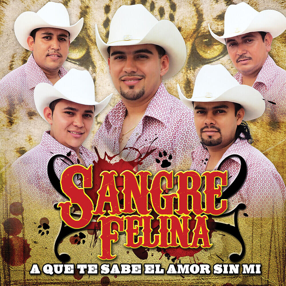 Sangre Felina