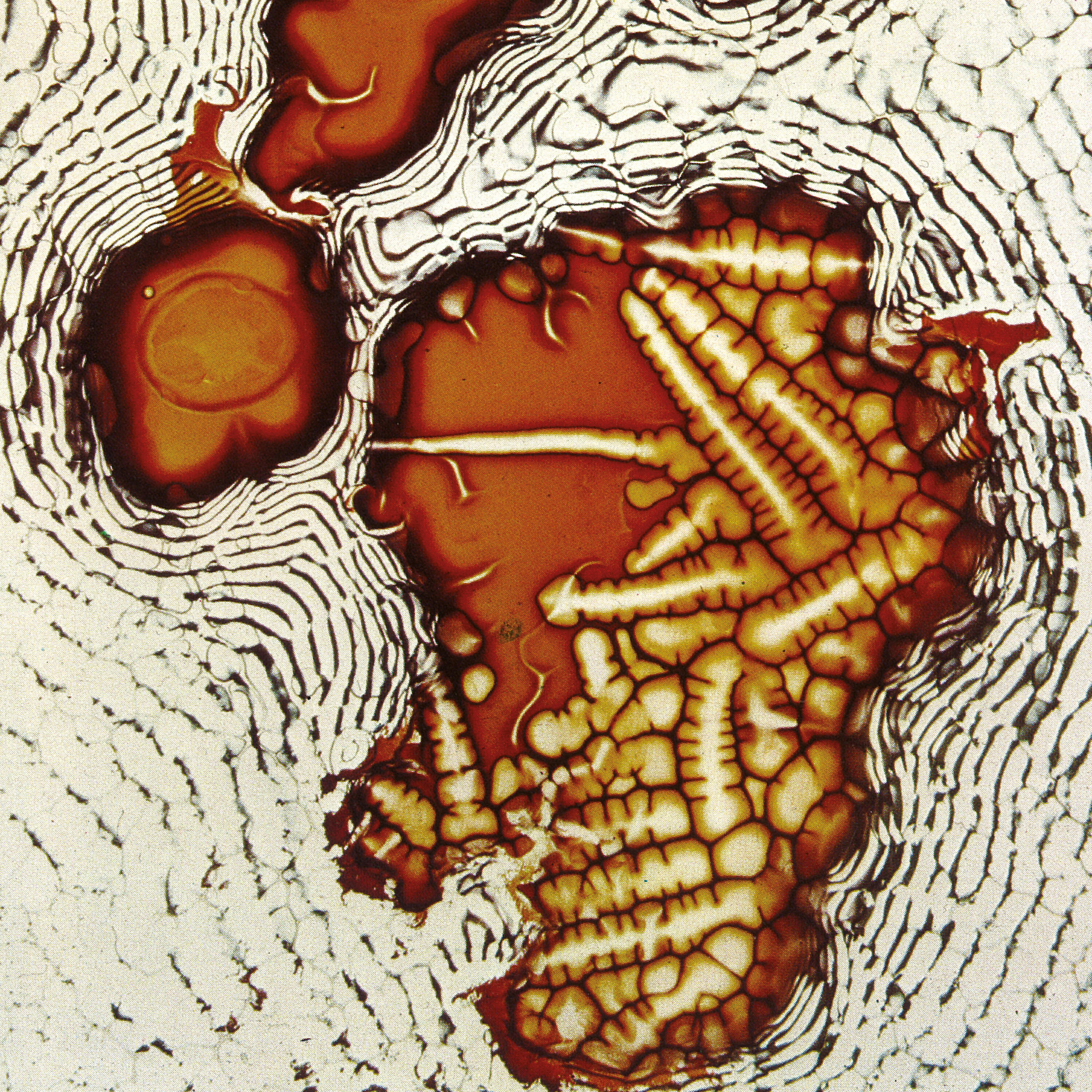 Richard Scott