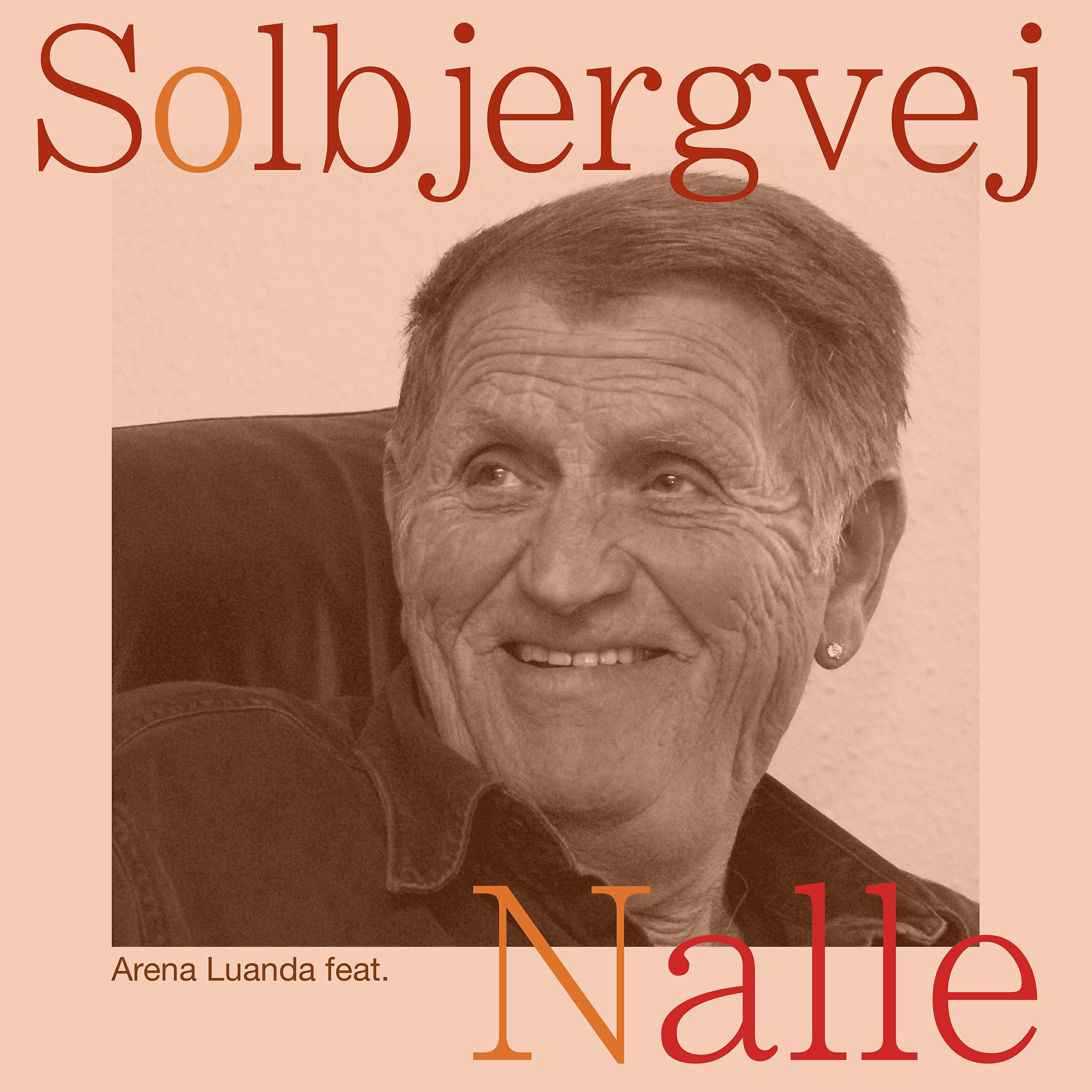 Релиз Solbjergvej