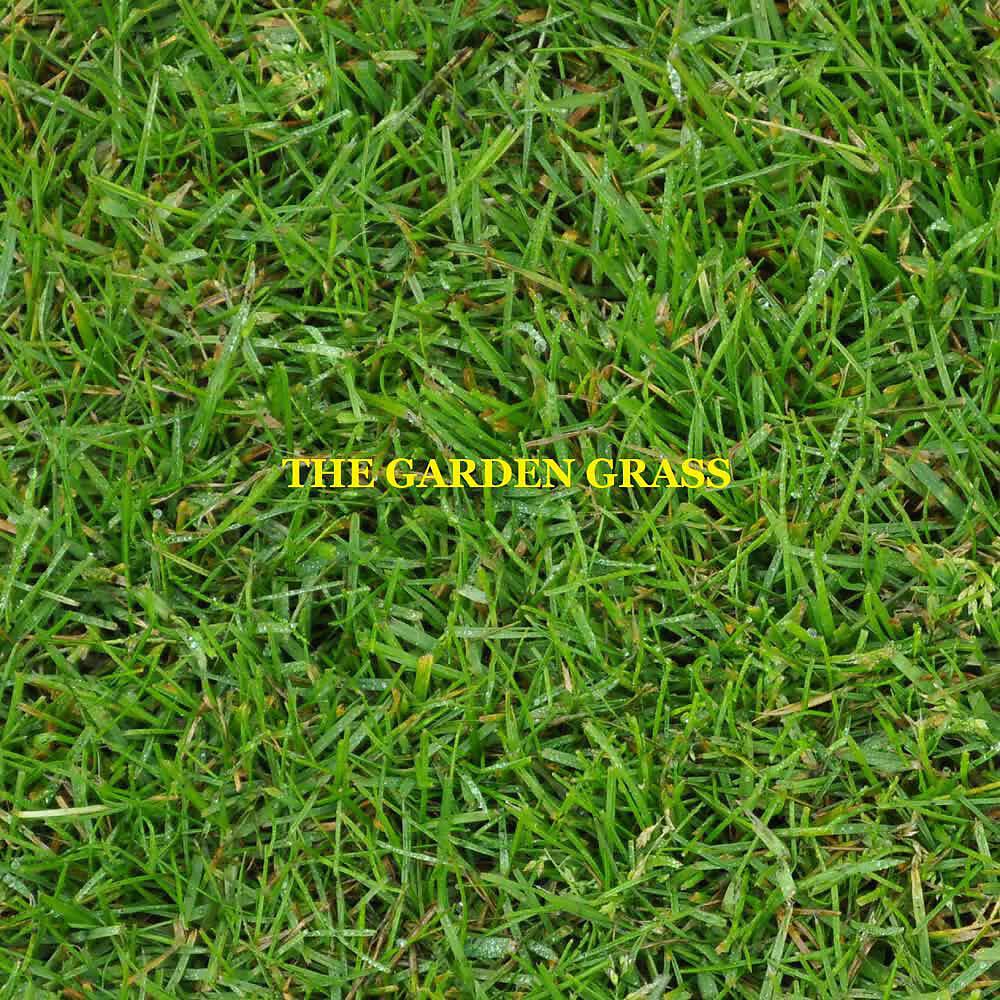 Релиз The Garden Grass