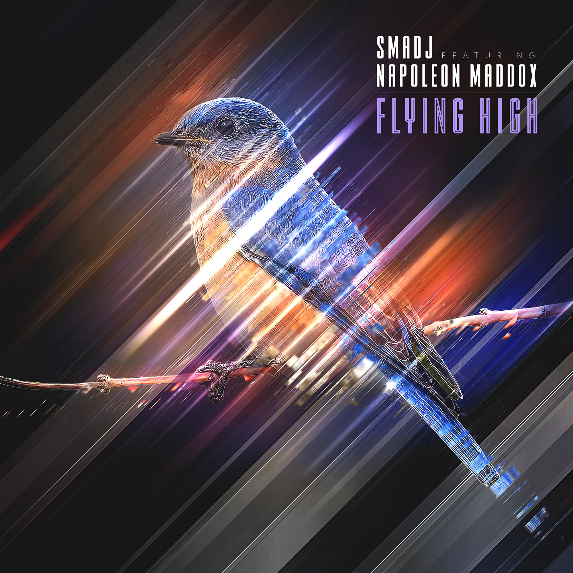 Релиз Flying high