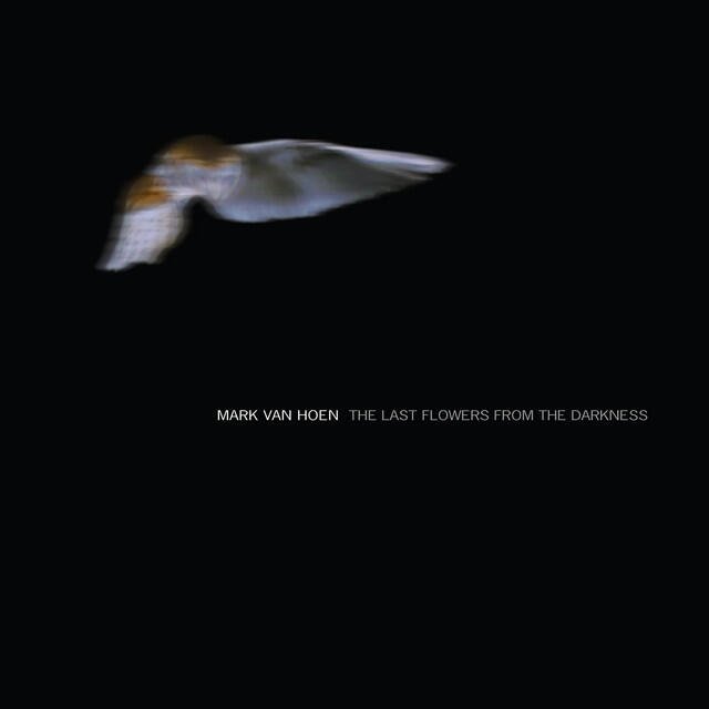 Релиз The Last Flowers from the Darkness