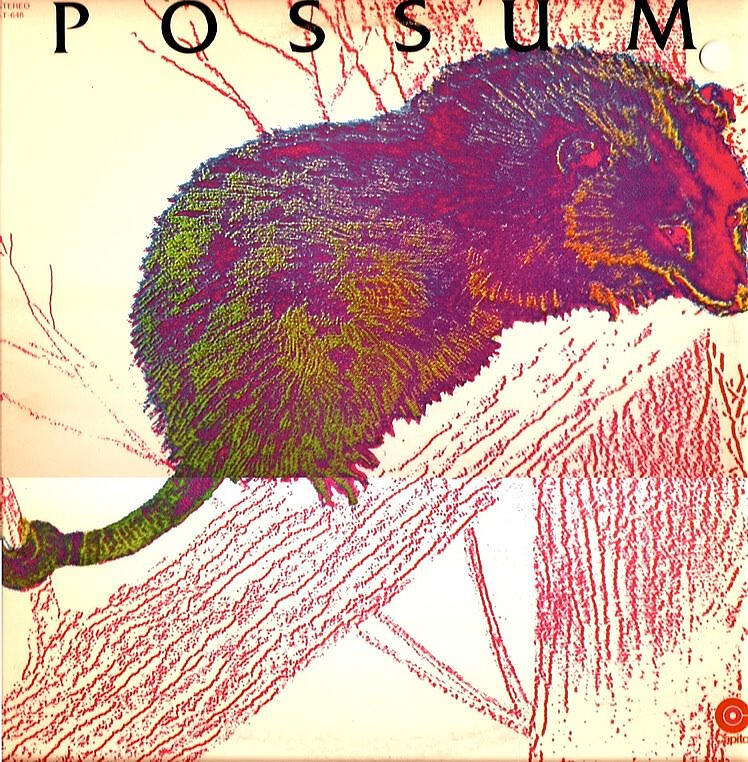 Possum