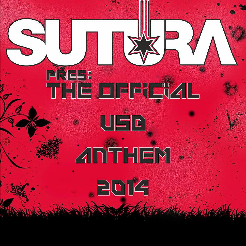 Релиз The Official Usb Anthem 2014