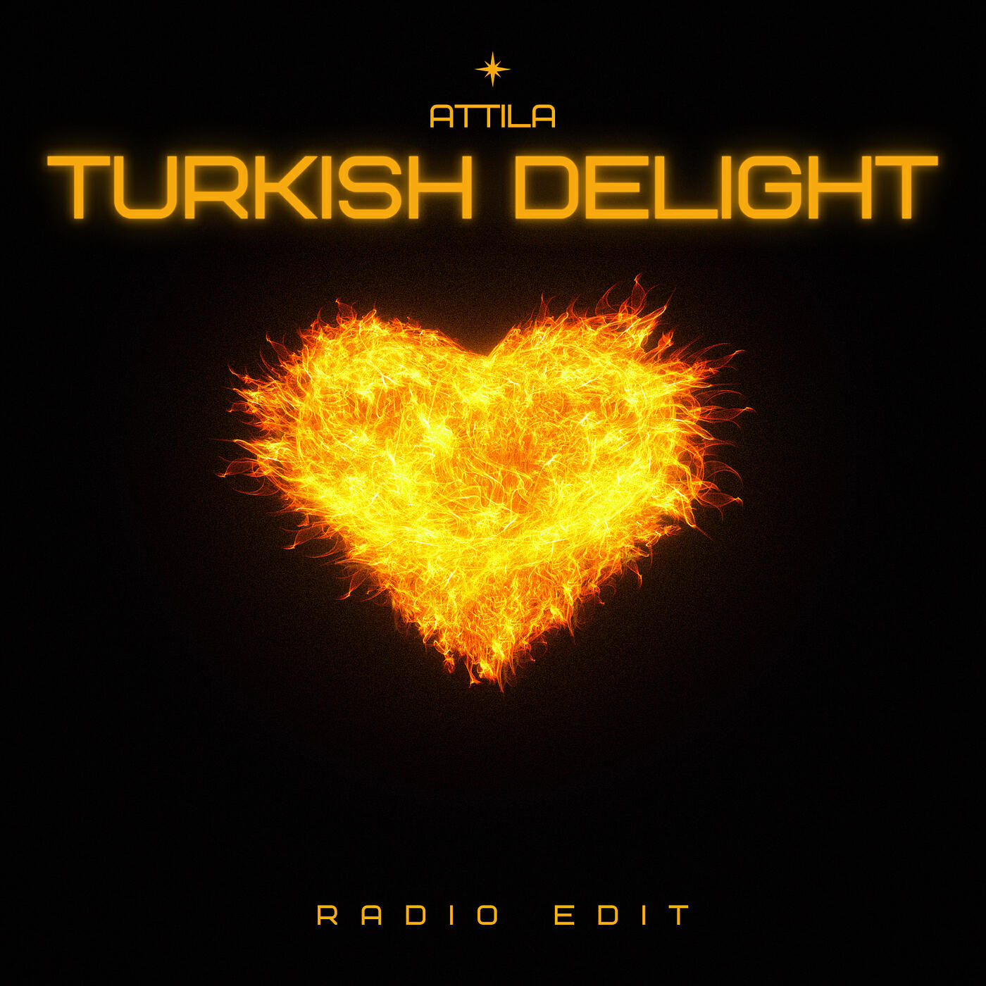 Постер альбома Turkish Delight (Radio Edit)