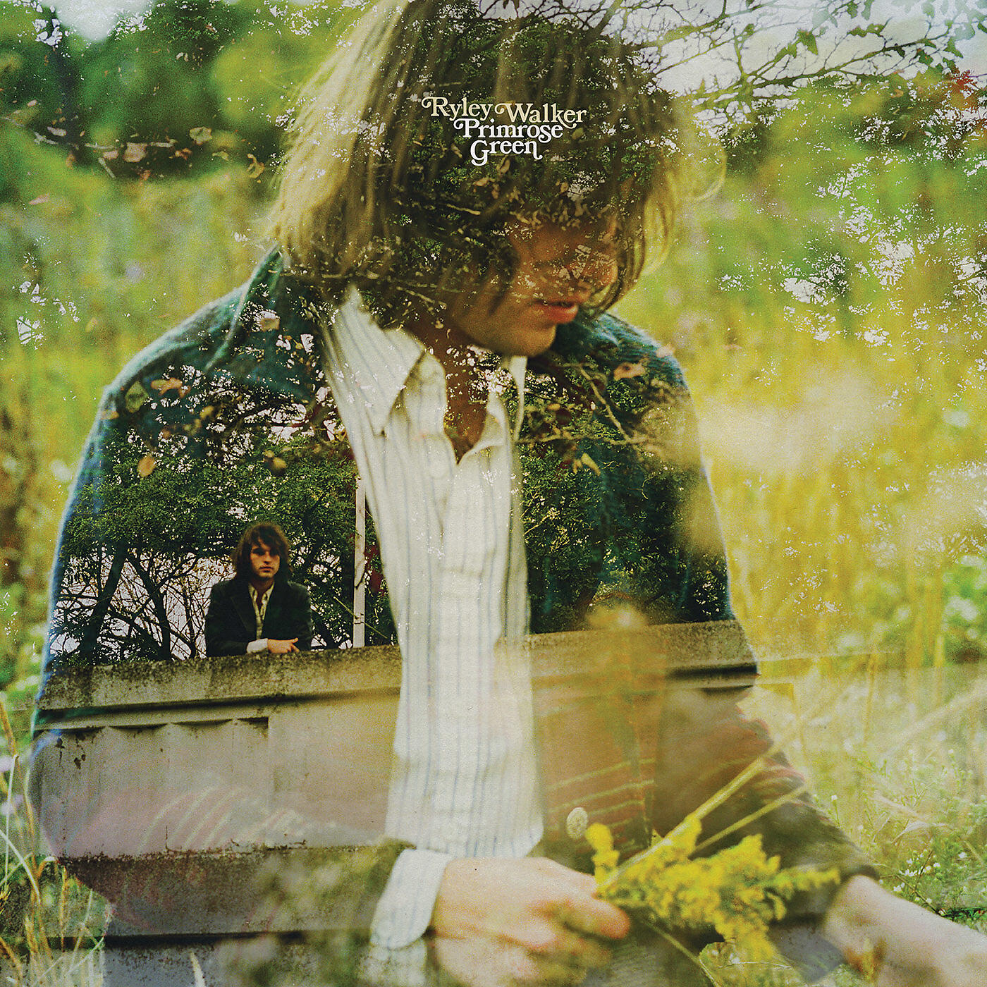 Релиз Primrose Green