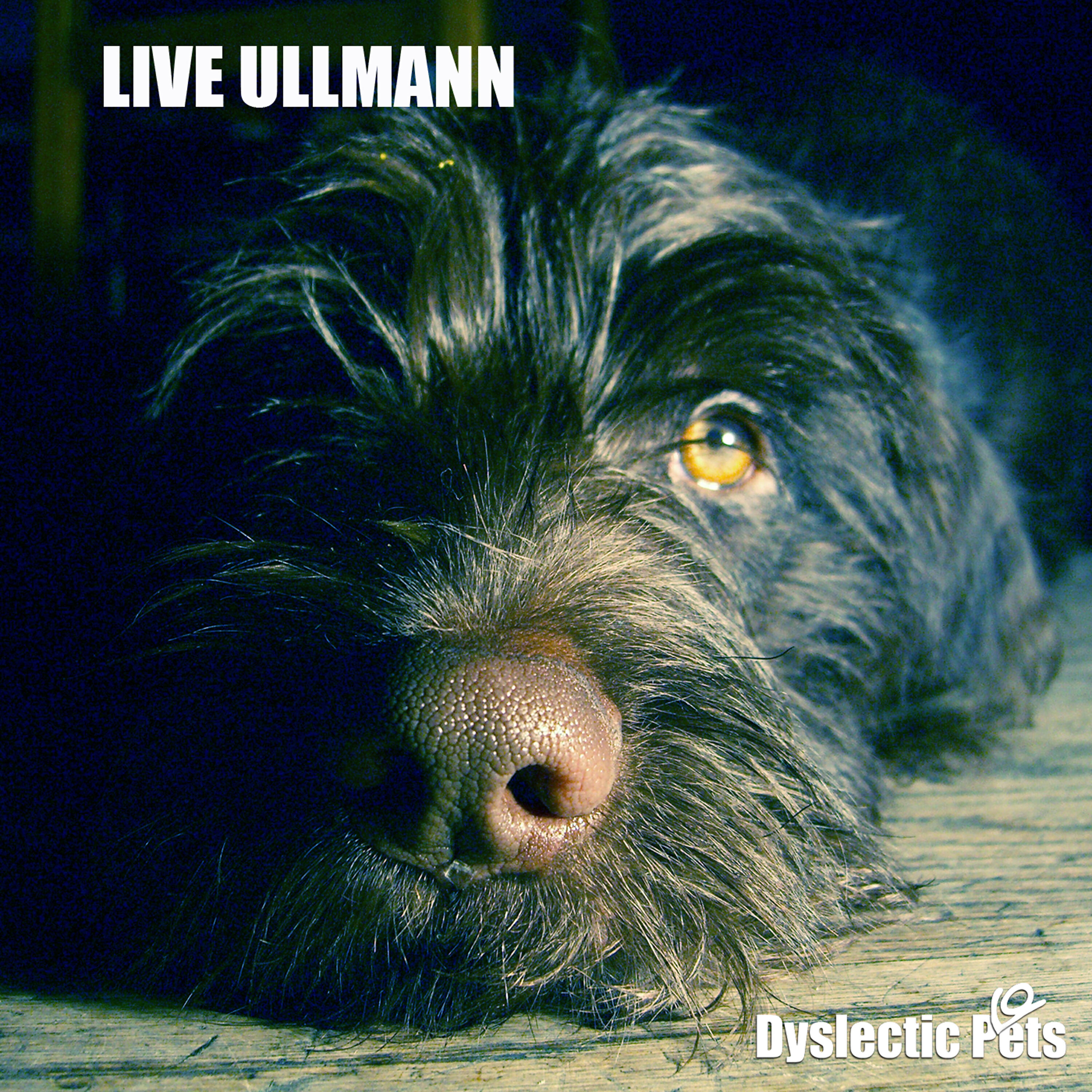 Live Ullmann