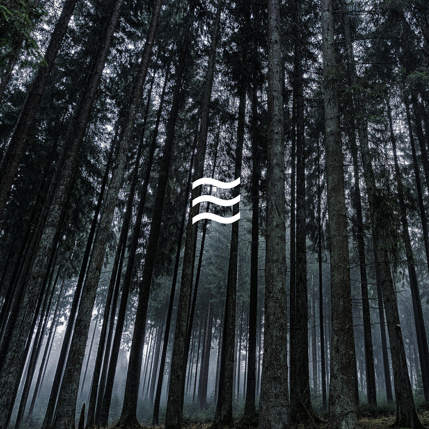 Релиз Хороший успокаивающий природный дождь