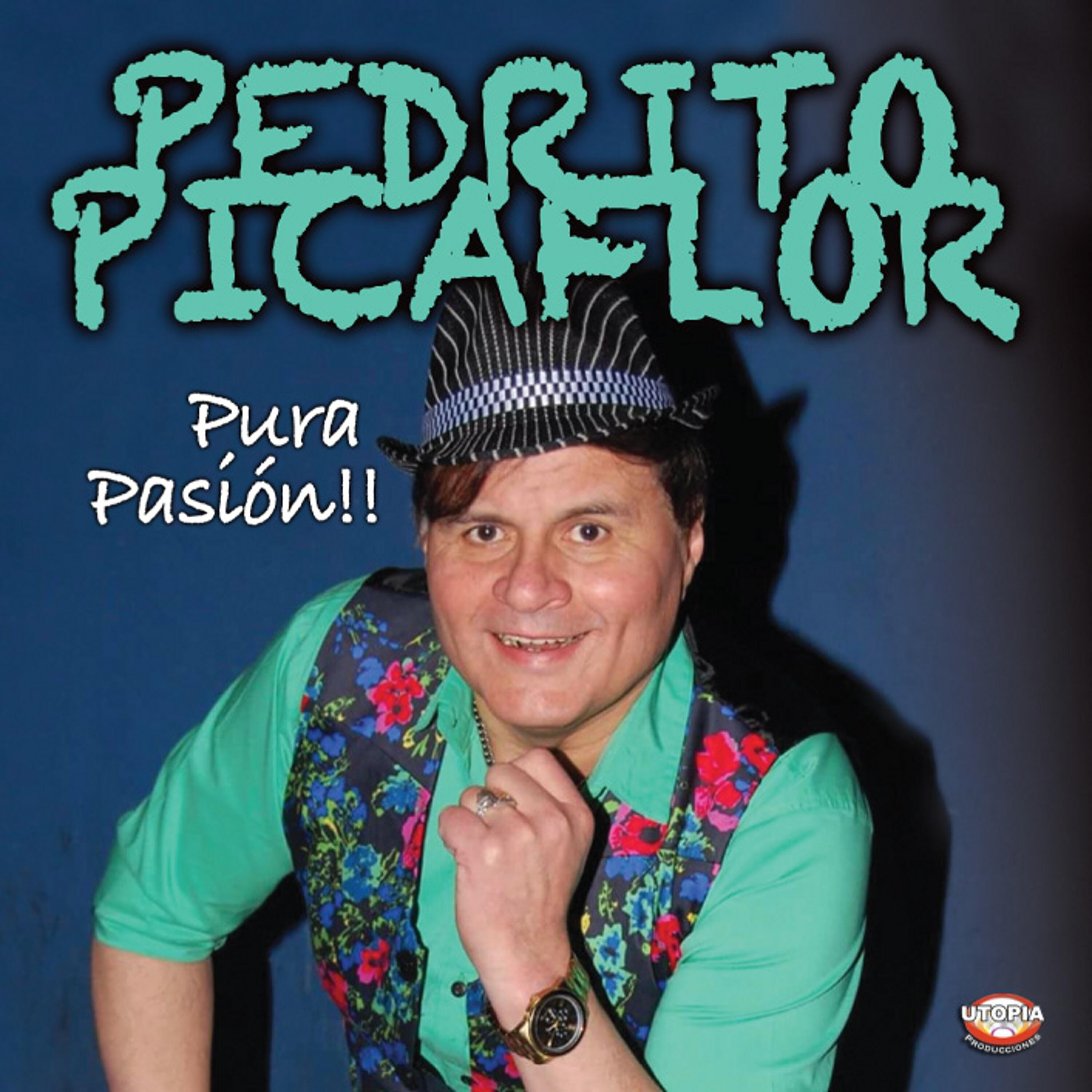 Pedrito Picaflor