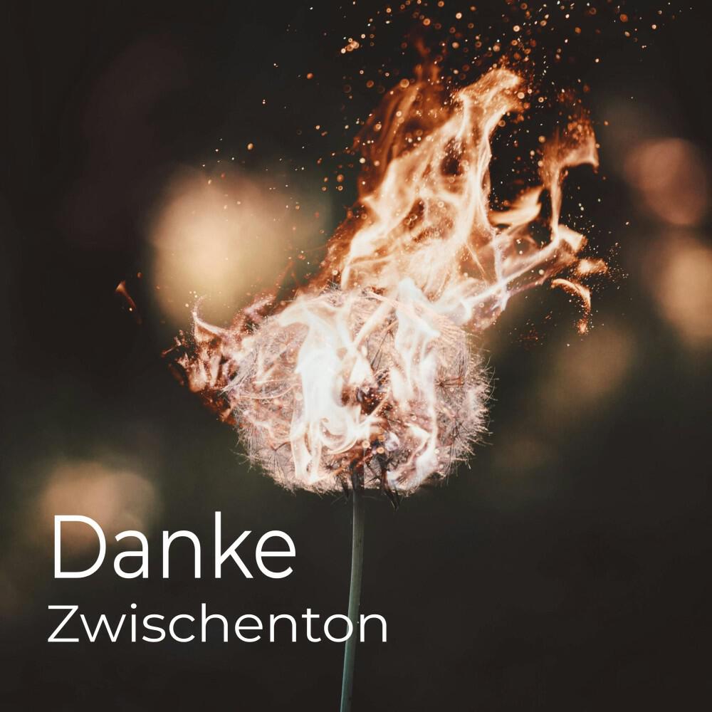 Релиз Danke