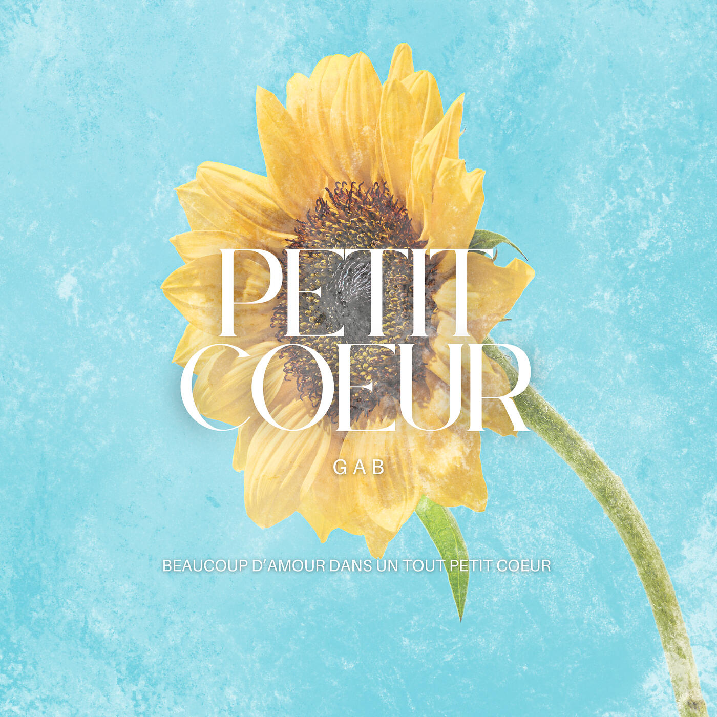 Релиз Petit coeur