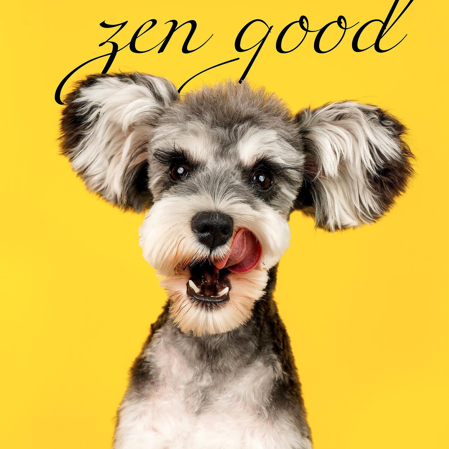Релиз Zen Good