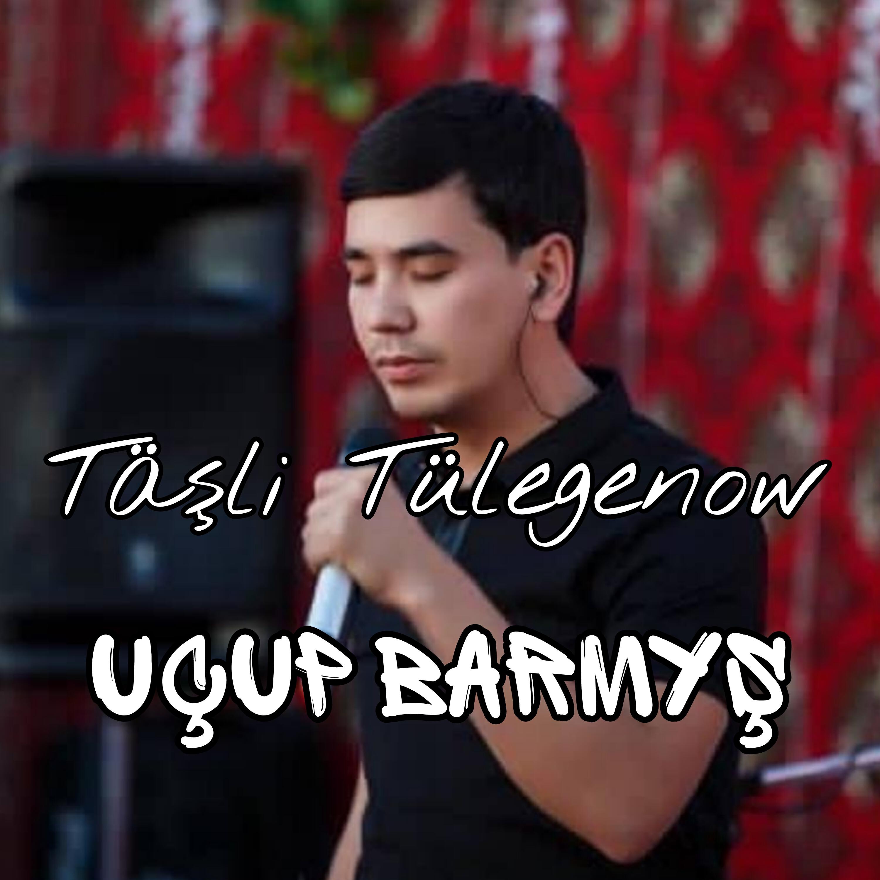 Релиз Uçup barmyş