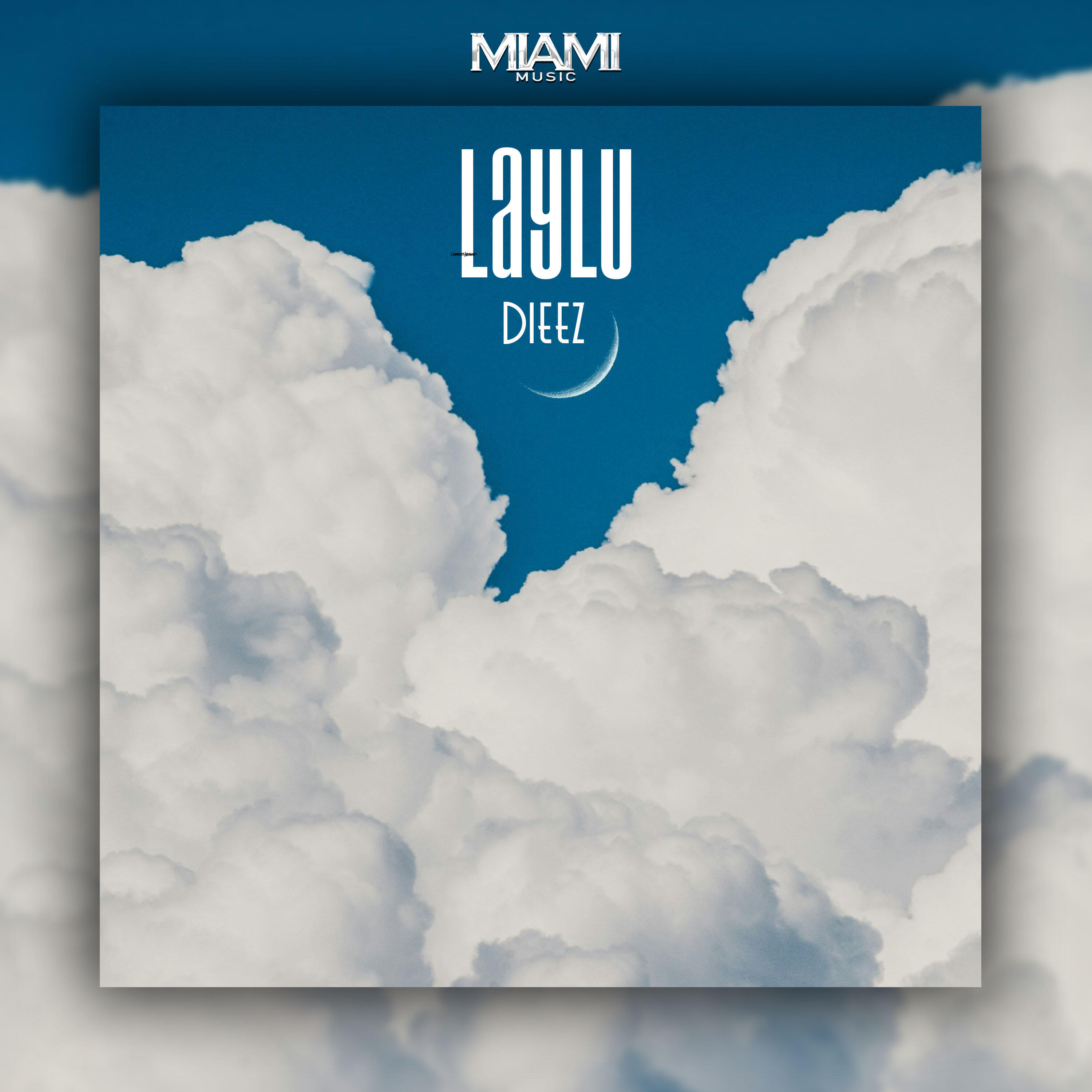 Постер альбома Laylu
