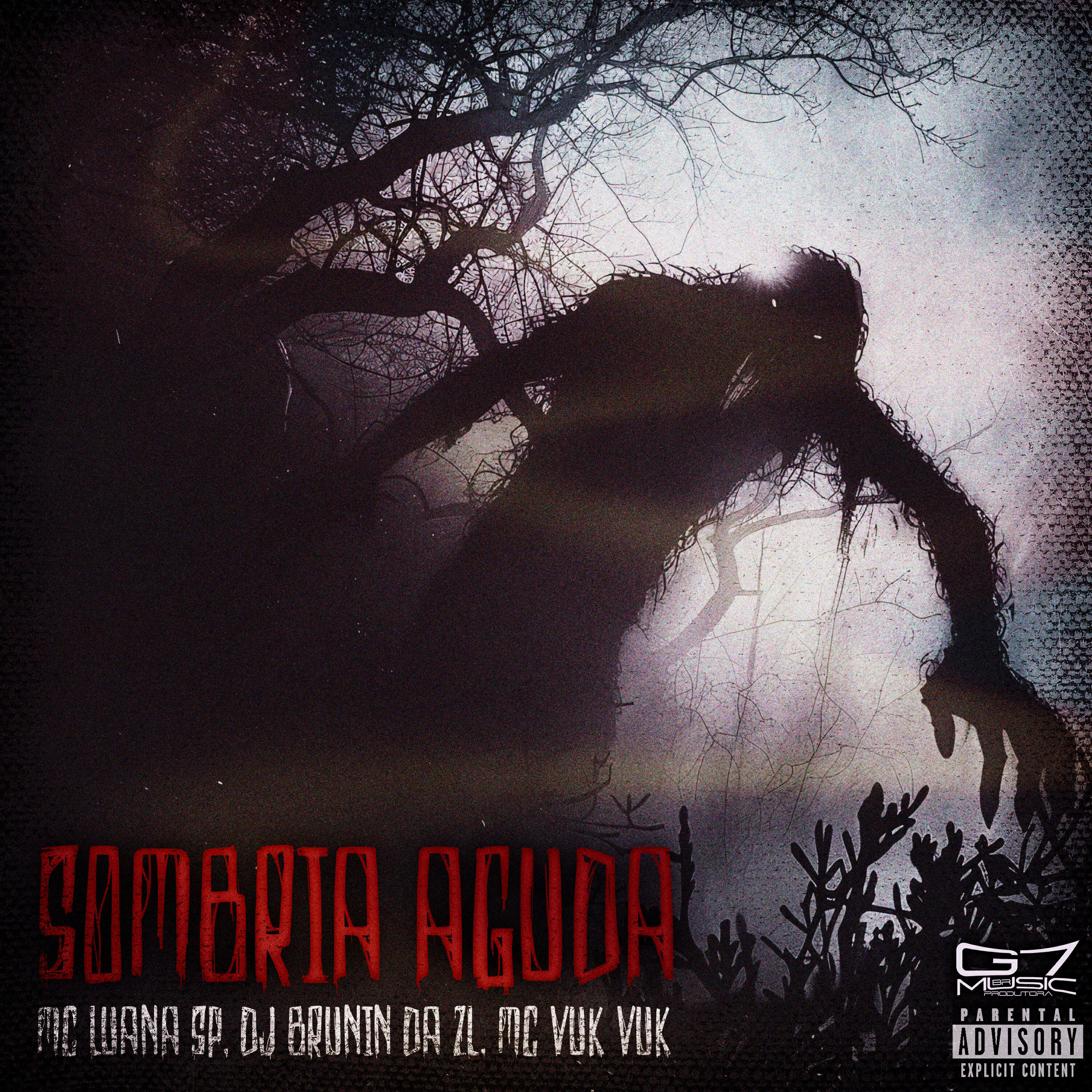 Скачать песню MC Luana SP, DJ Brunin Da ZL, MC Vuk Vuk - Sombria Aguda бесплатно в MP3 для Android и iOS