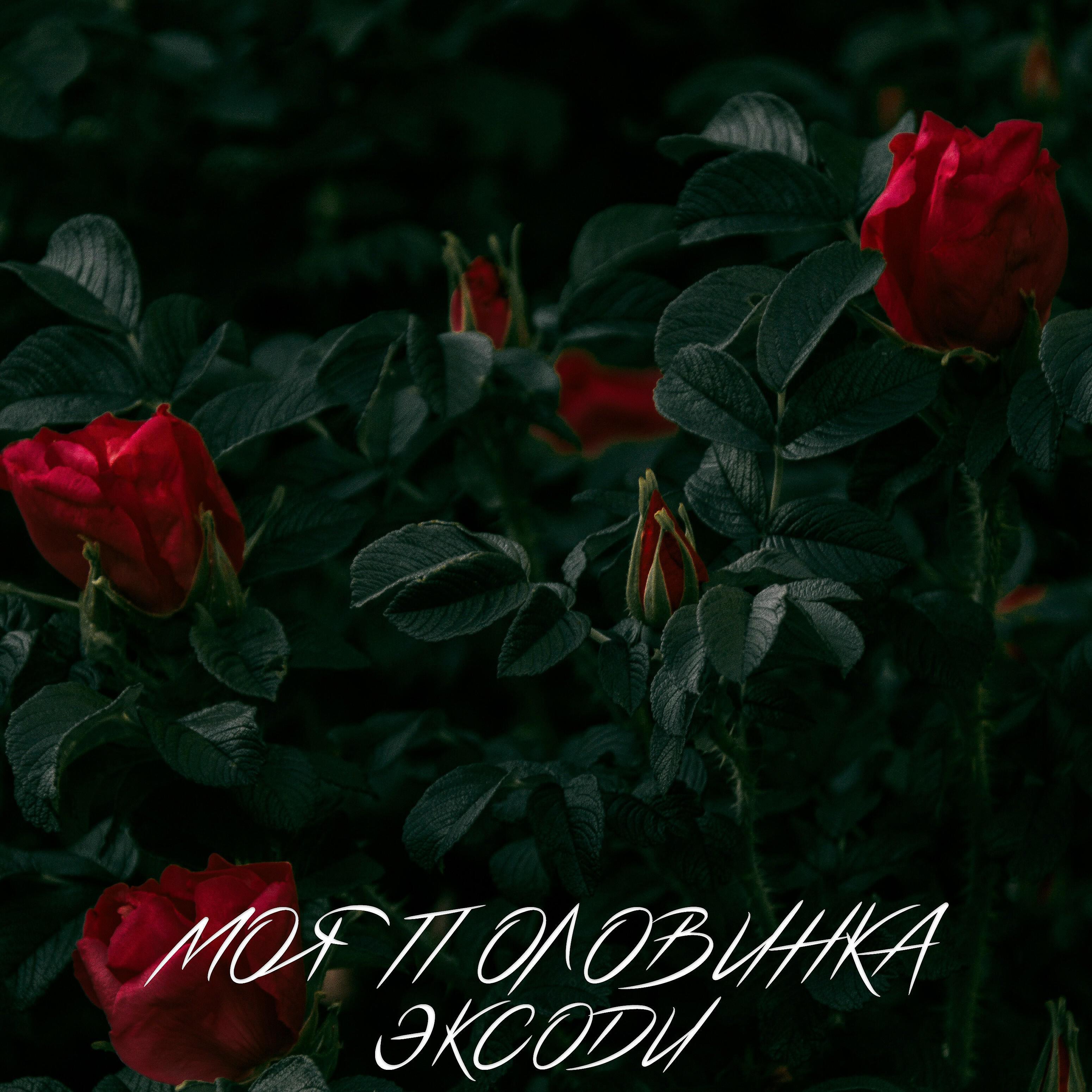 Постер альбома Моя половинка