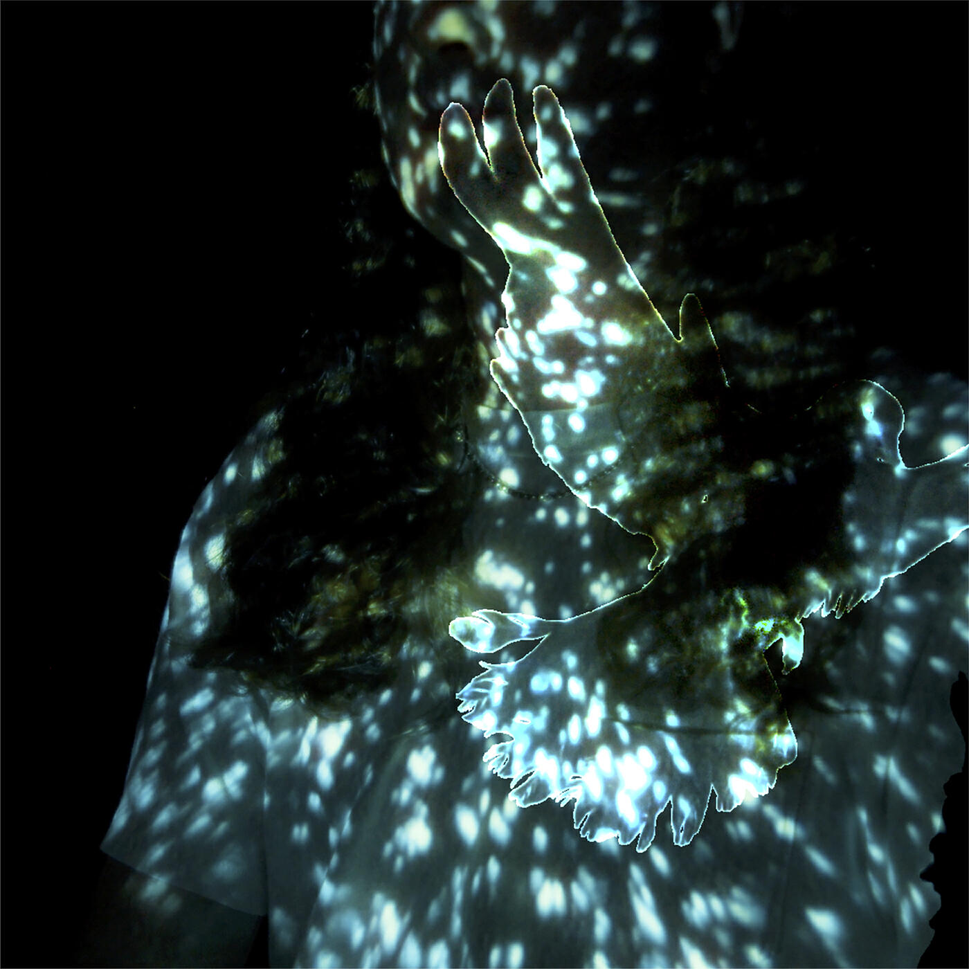 Релиз Mourning Dove / Only Words