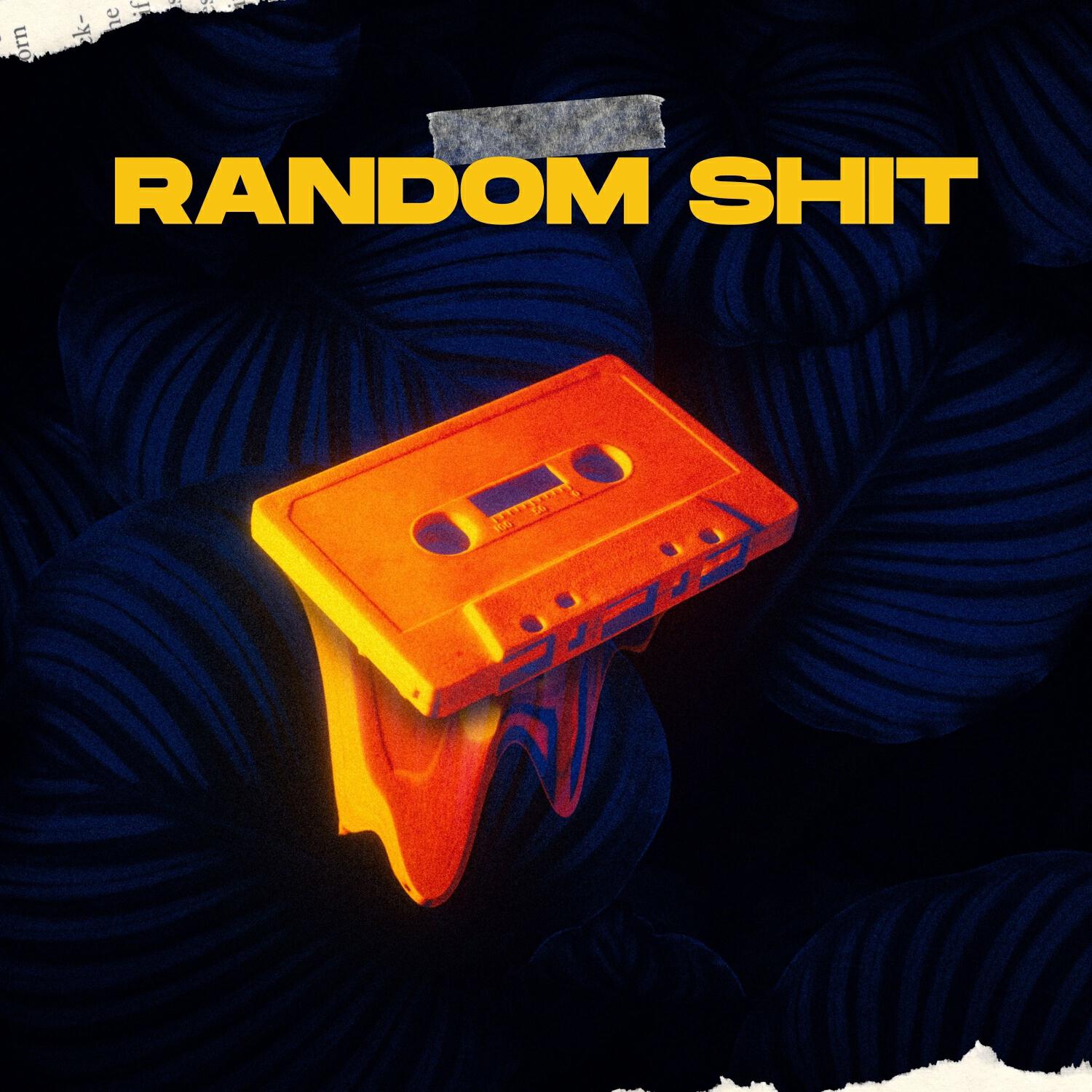Релиз Random Shit