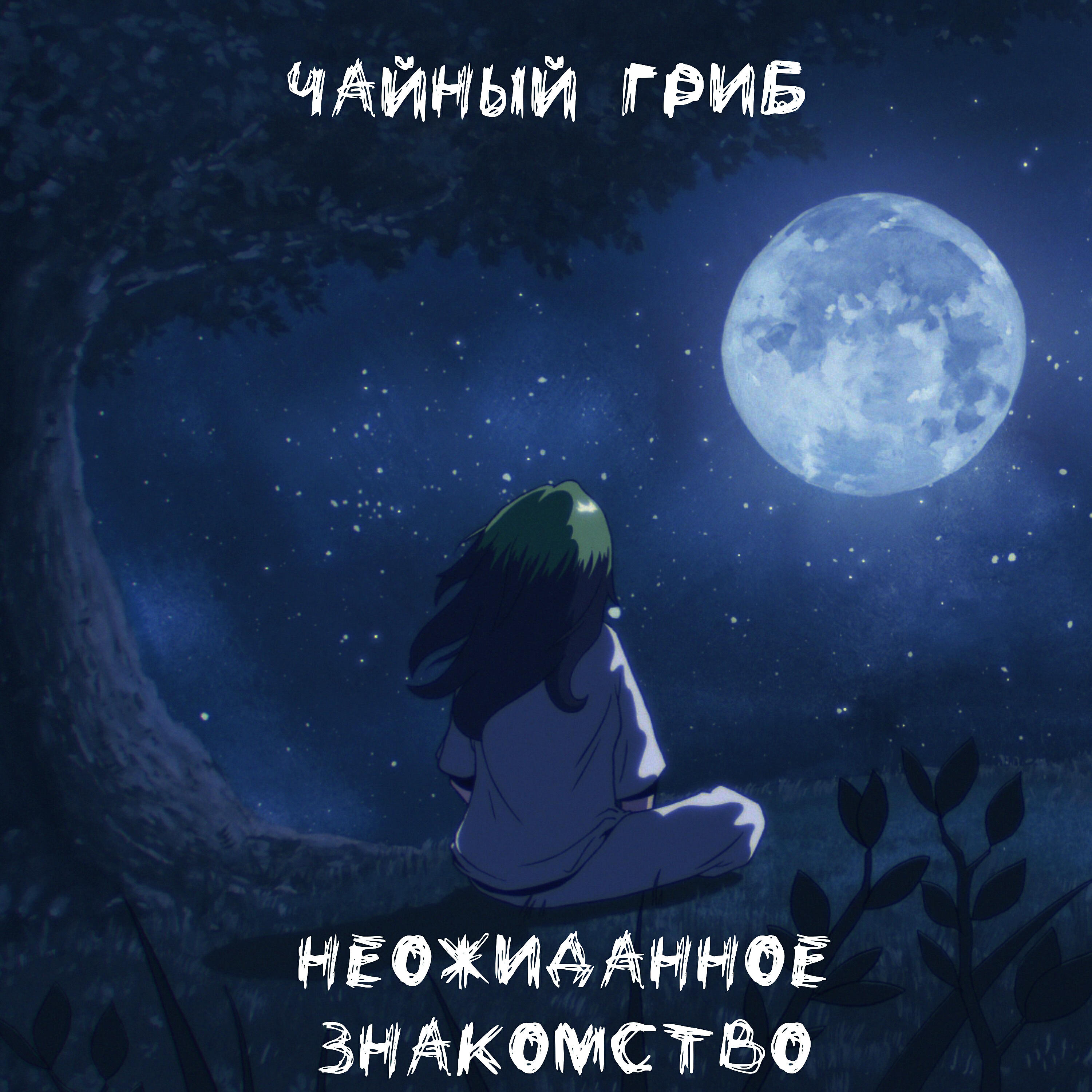 Постер альбома Неожиданное знакомство