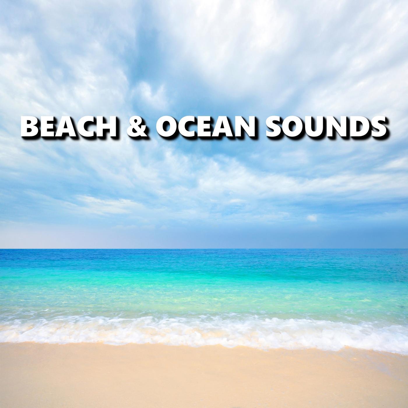 Постер альбома Beach & Ocean Sounds