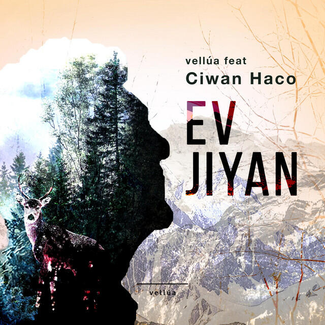 Релиз Ev Jiyan