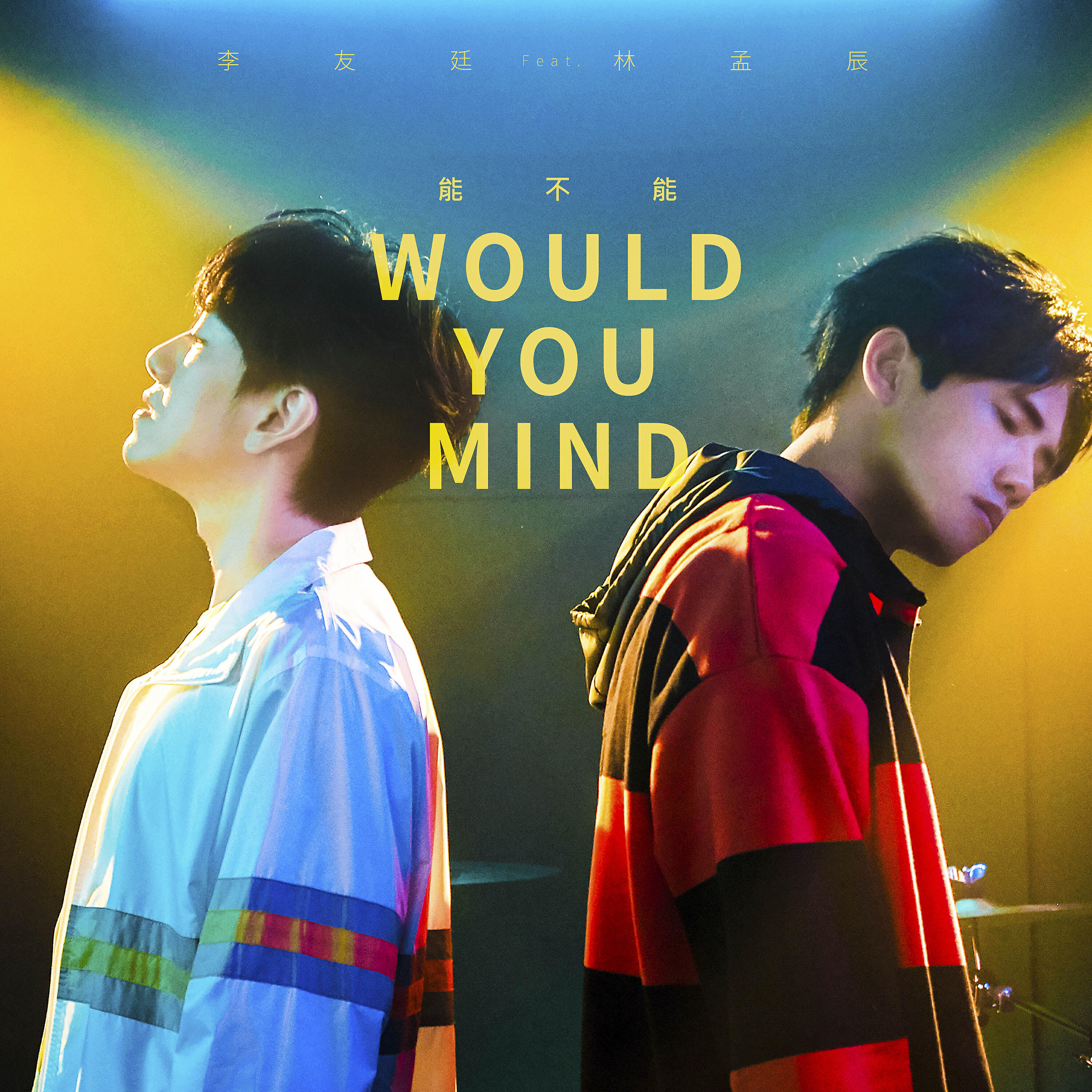 Релиз Would You Mind
