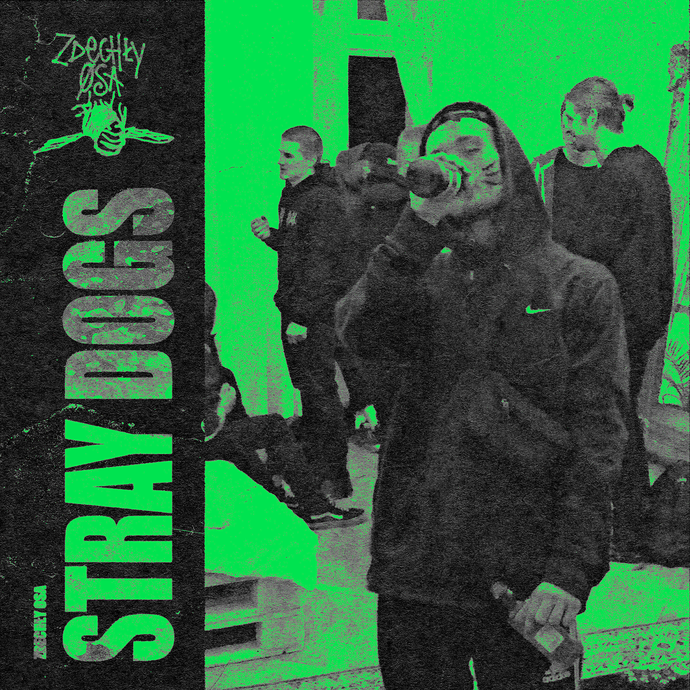 Релиз Stray Dogs