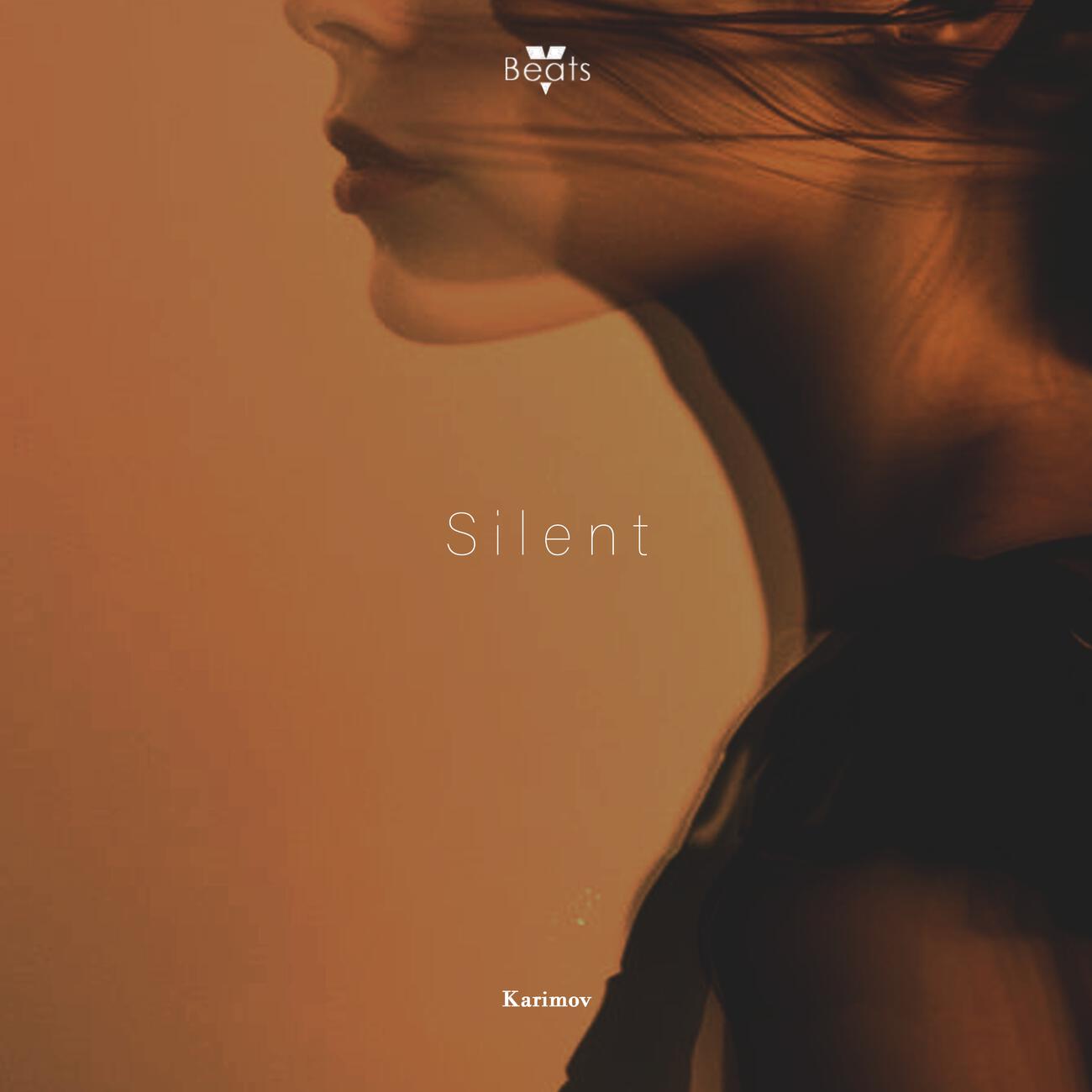 Релиз Silent