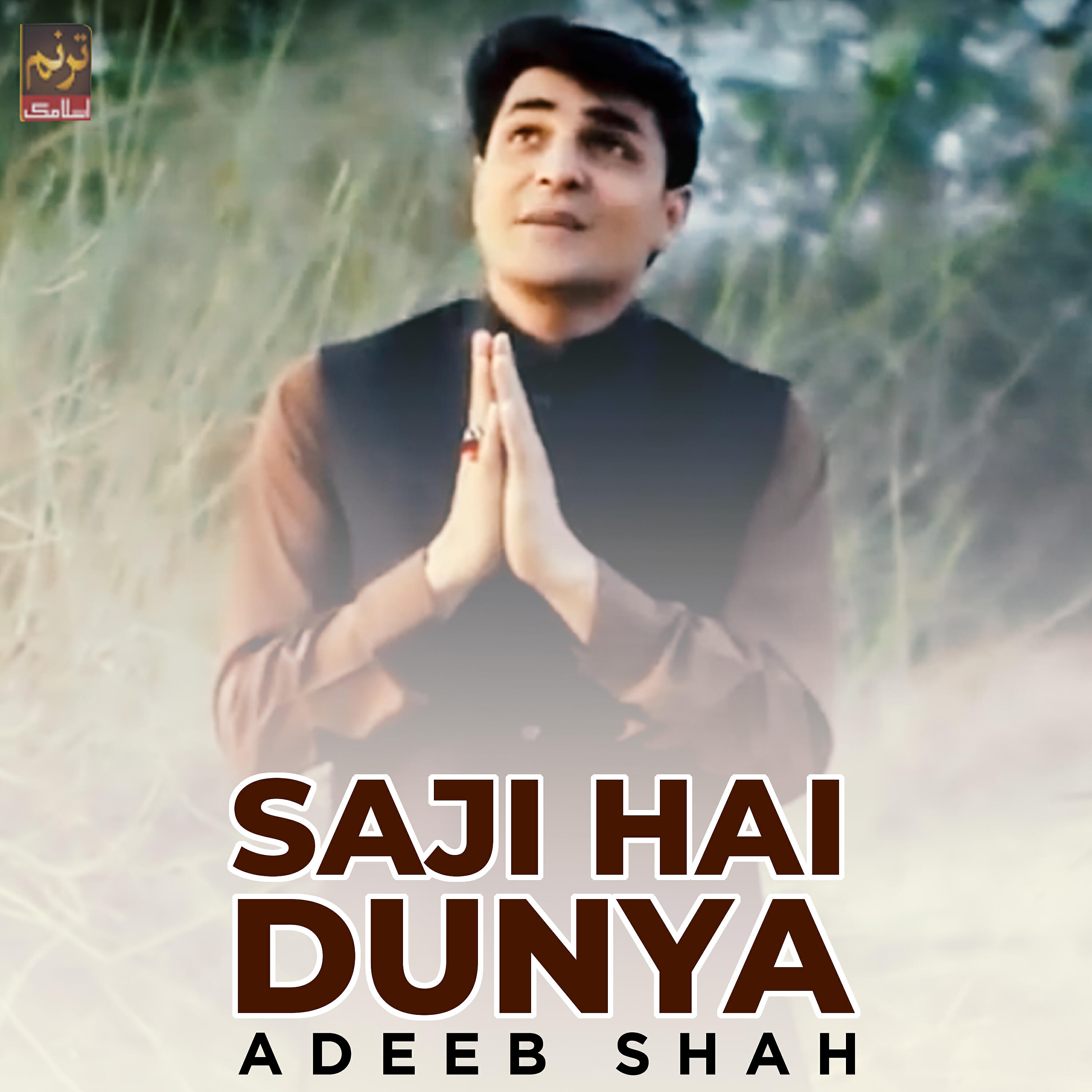 Adeeb Shah
