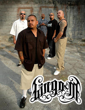 Lingo M