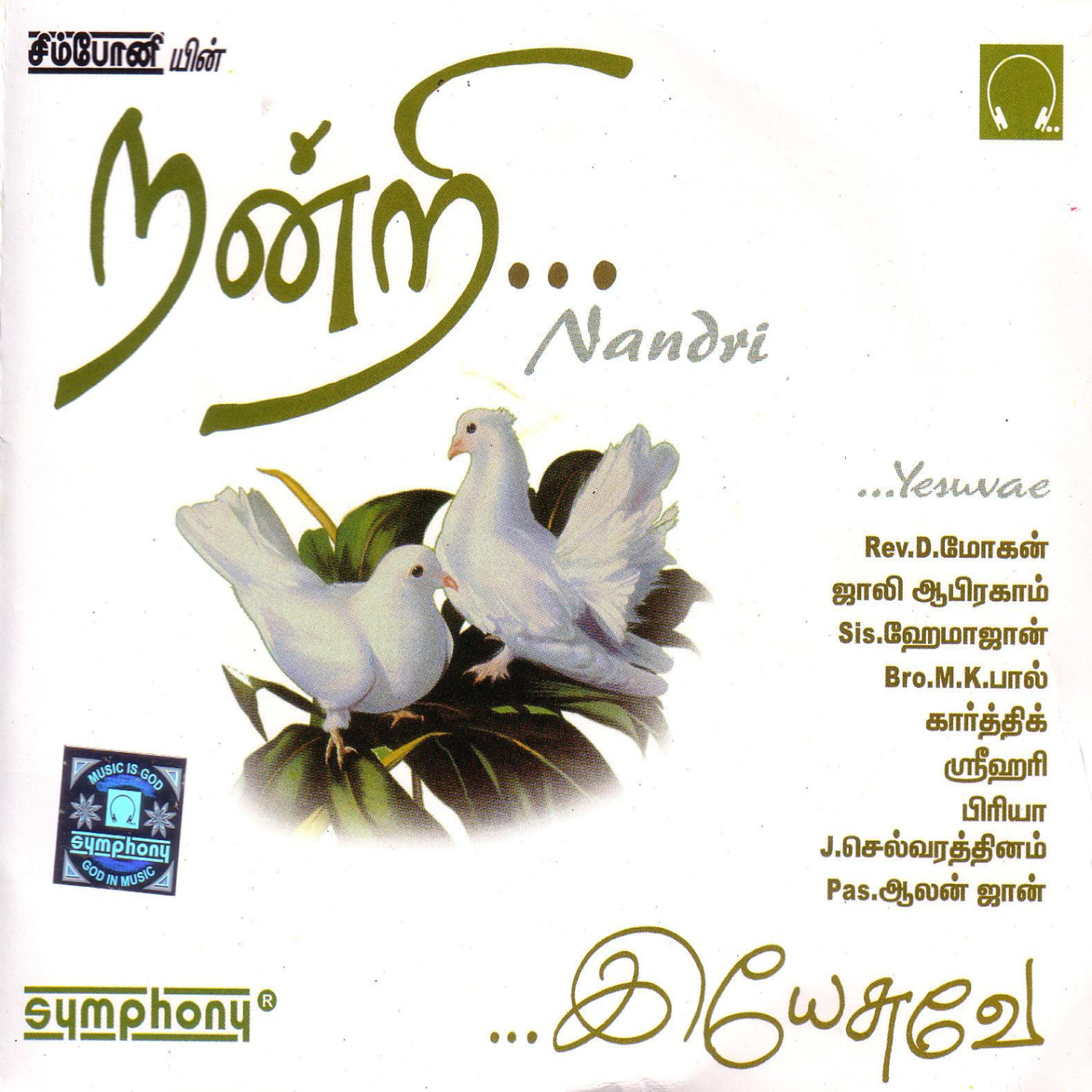 Релиз Nandri
