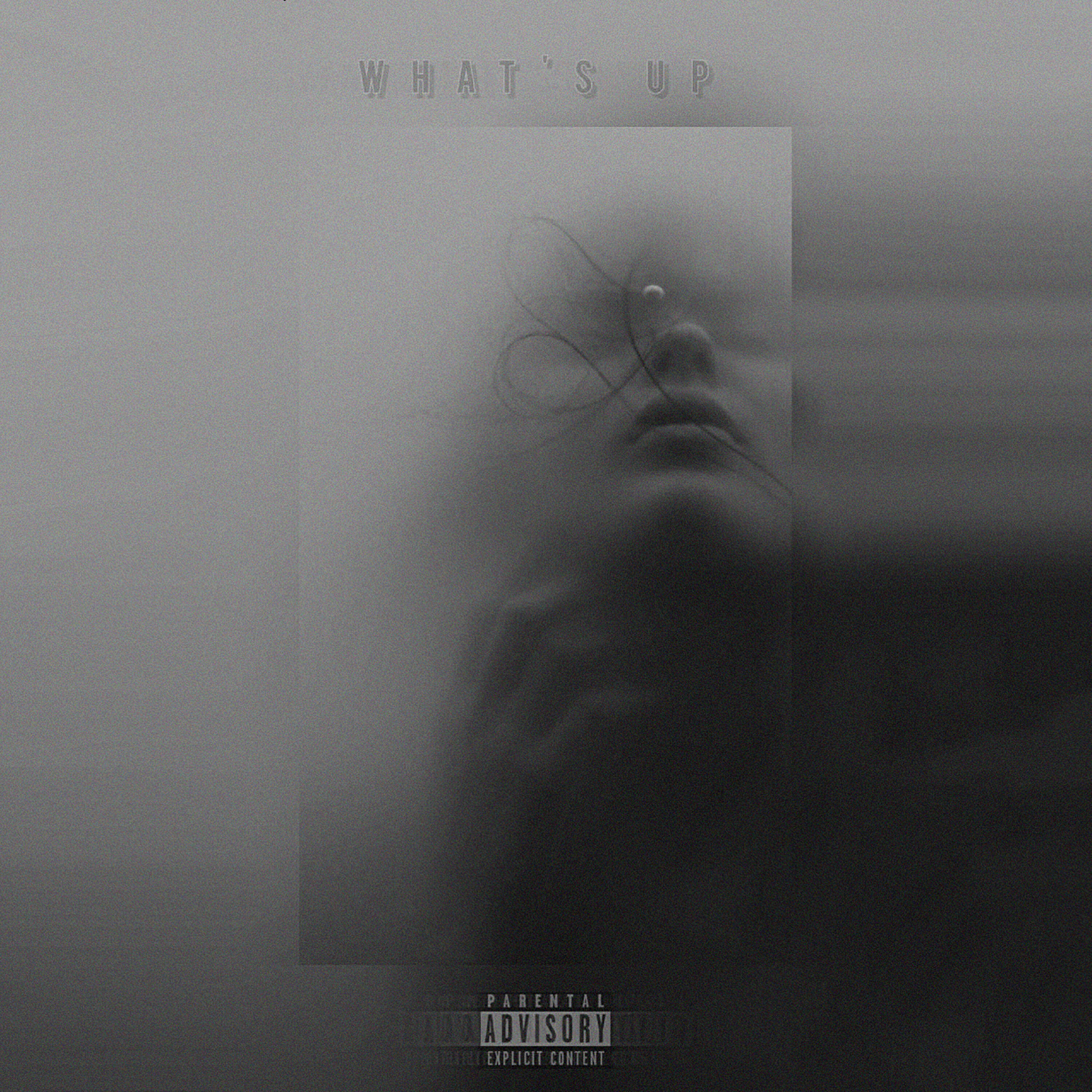 Релиз WHAT'SUP