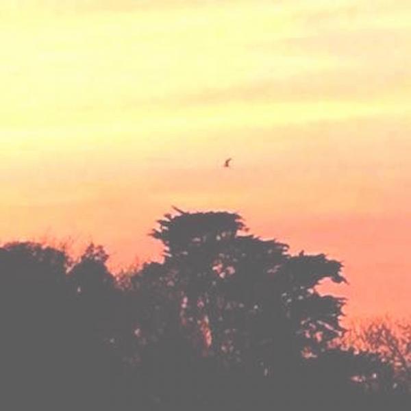 Релиз Rainbow Deltas