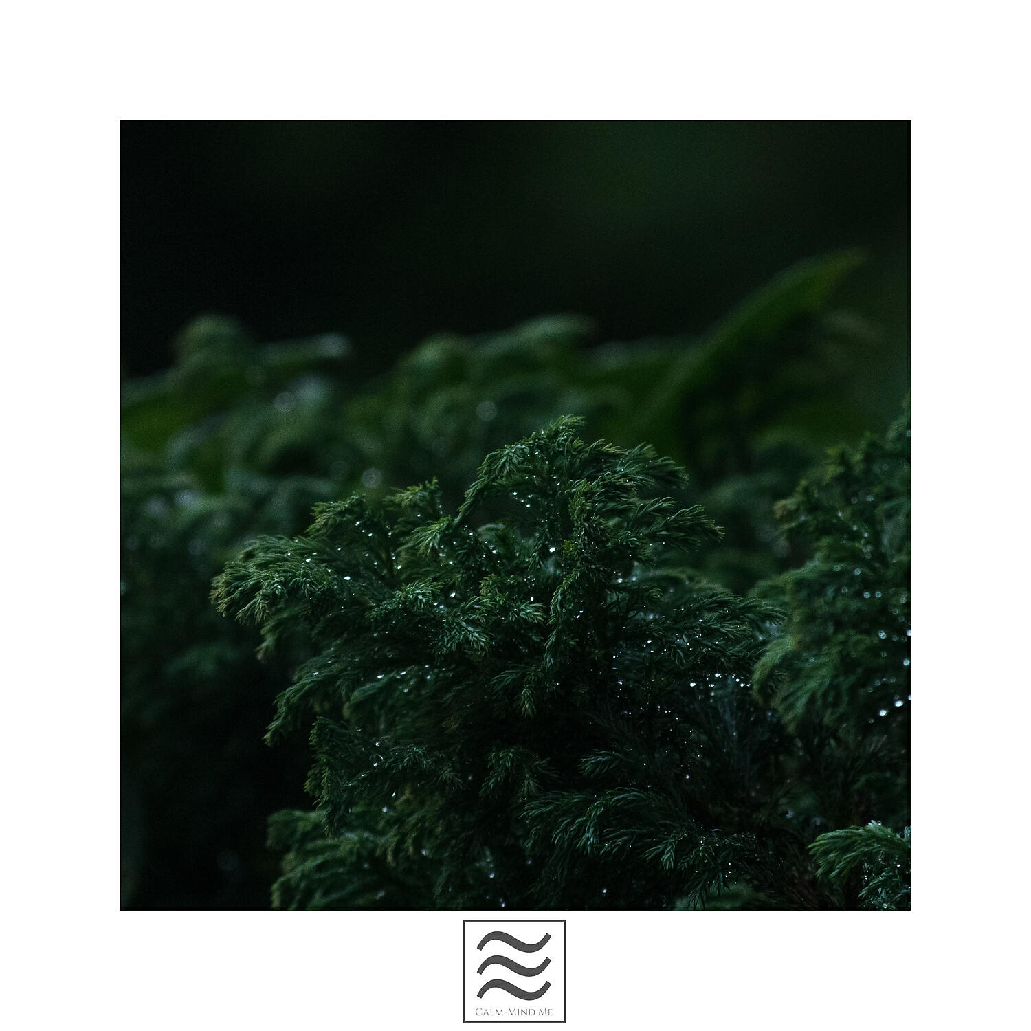 Релиз Restful Raining