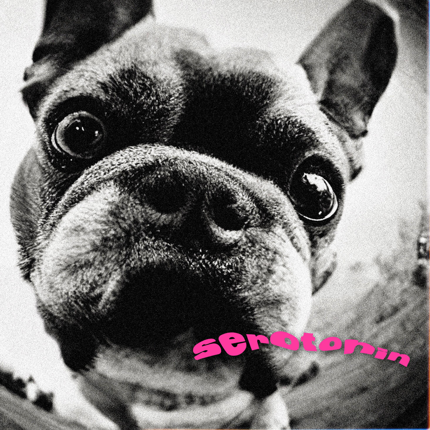 Релиз Serotonin