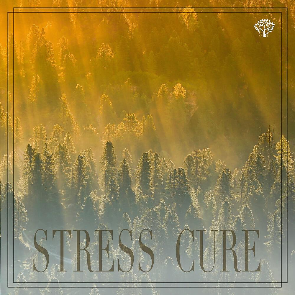 Релиз Stress Cure