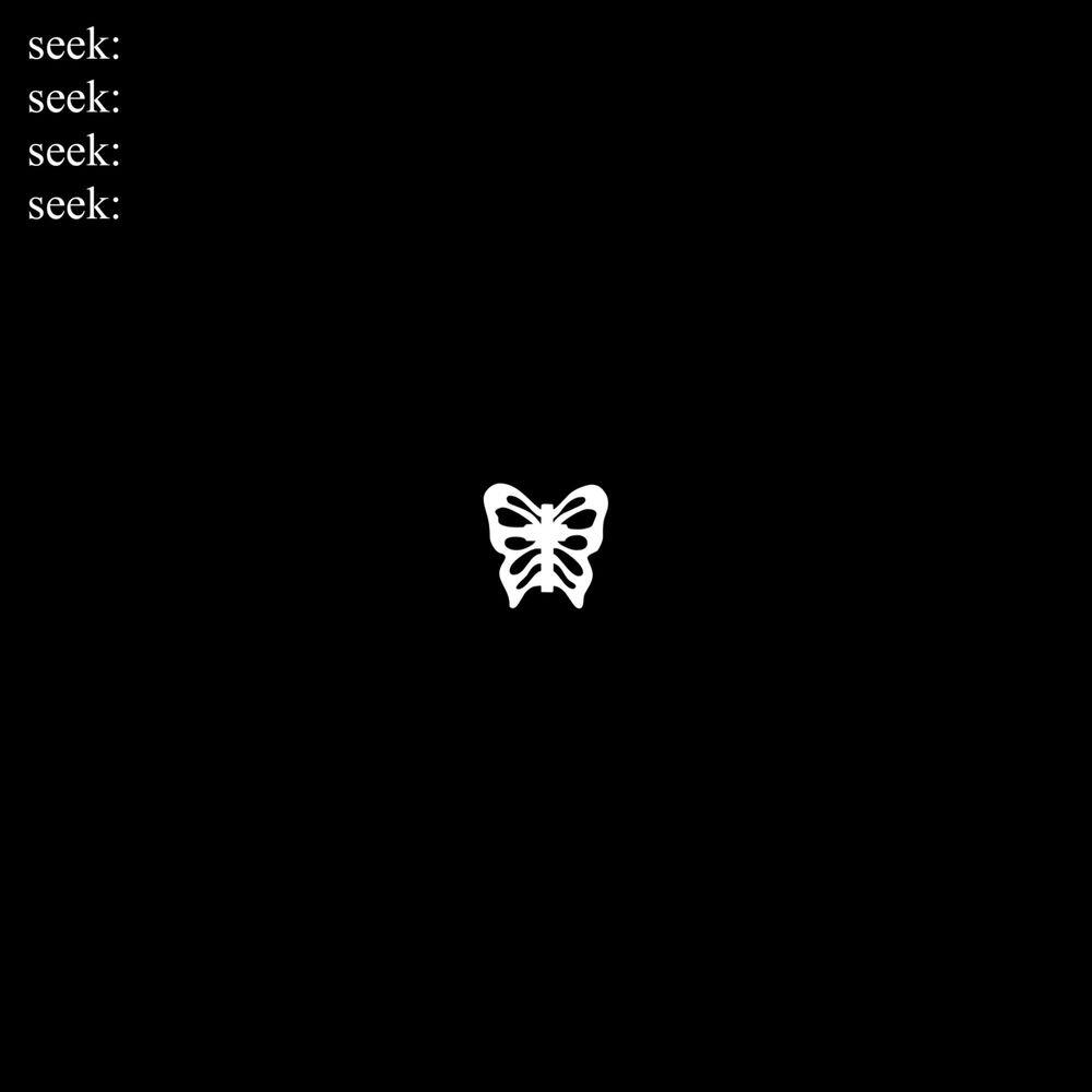 Релиз seek