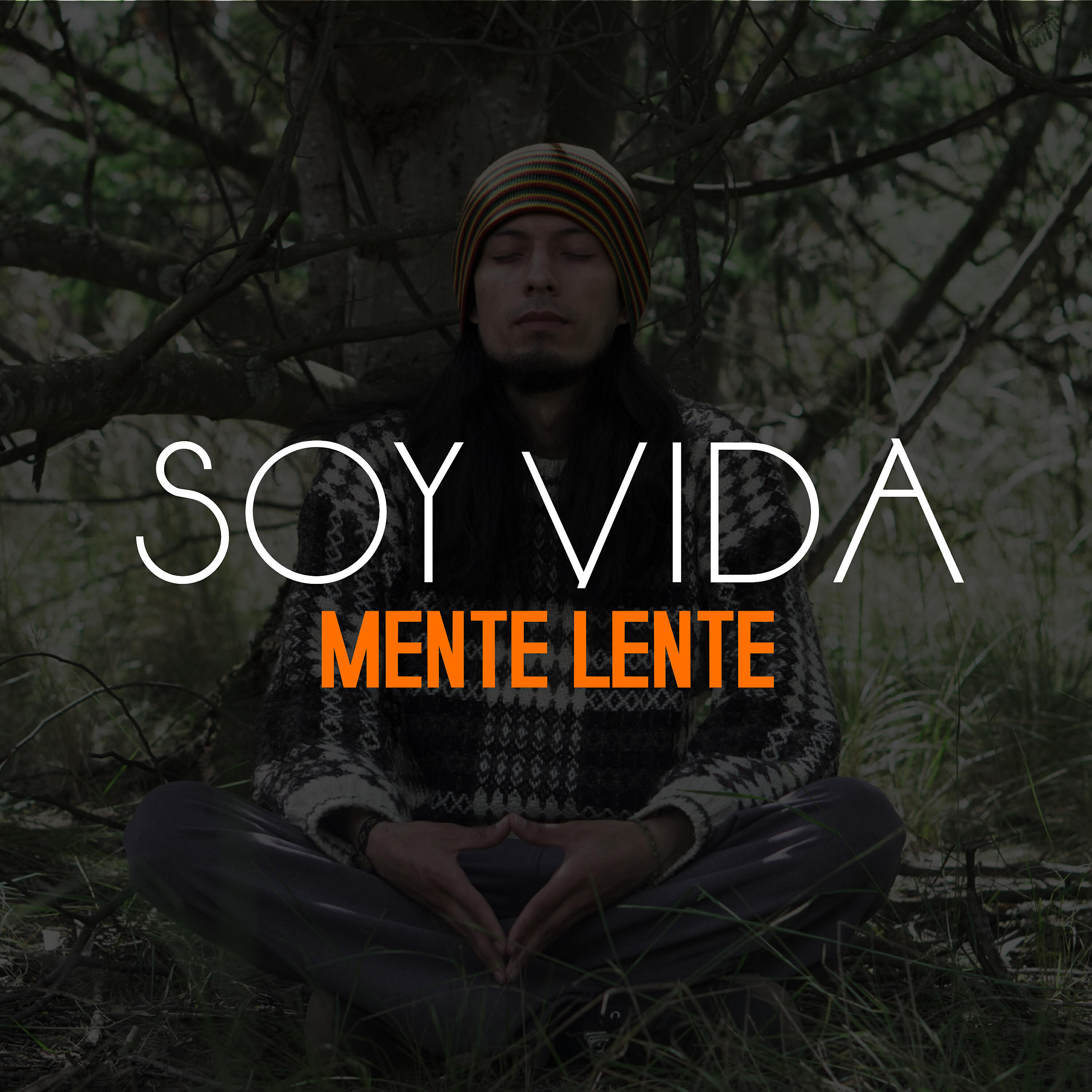 Релиз Soy Vida