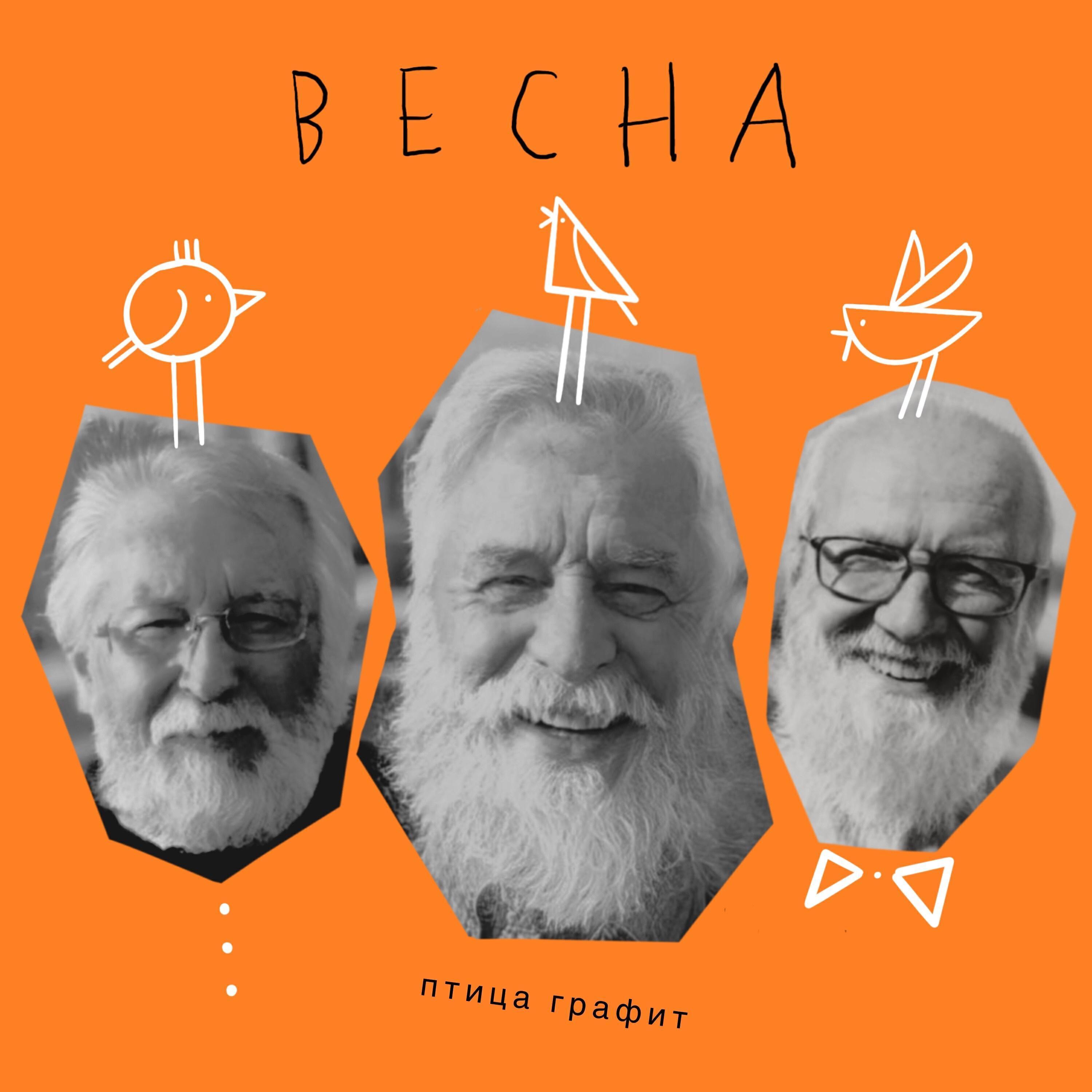 Птица Графит