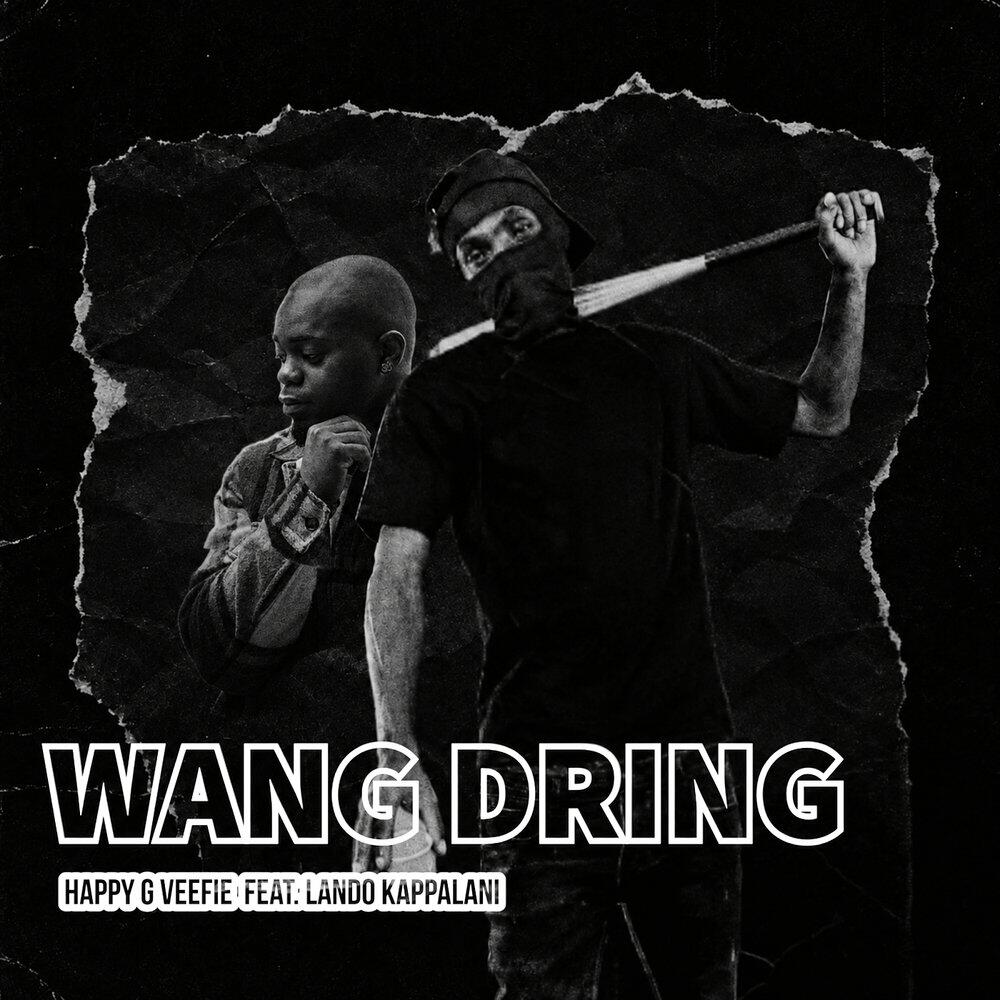 Релиз Wang Dring
