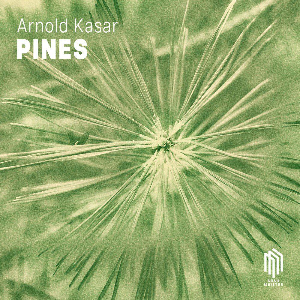 Релиз Pines